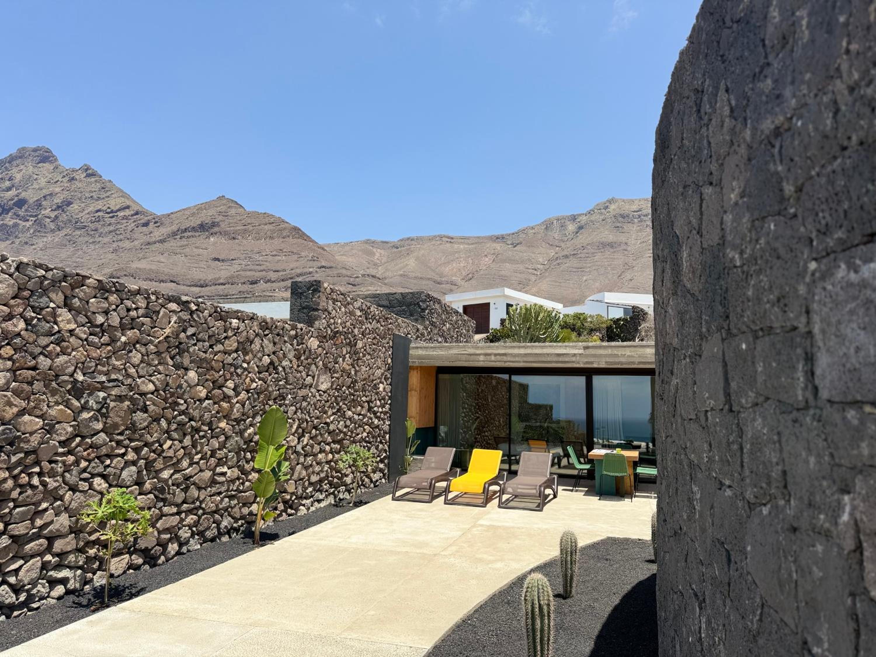 Canaryislandshost I Oliva