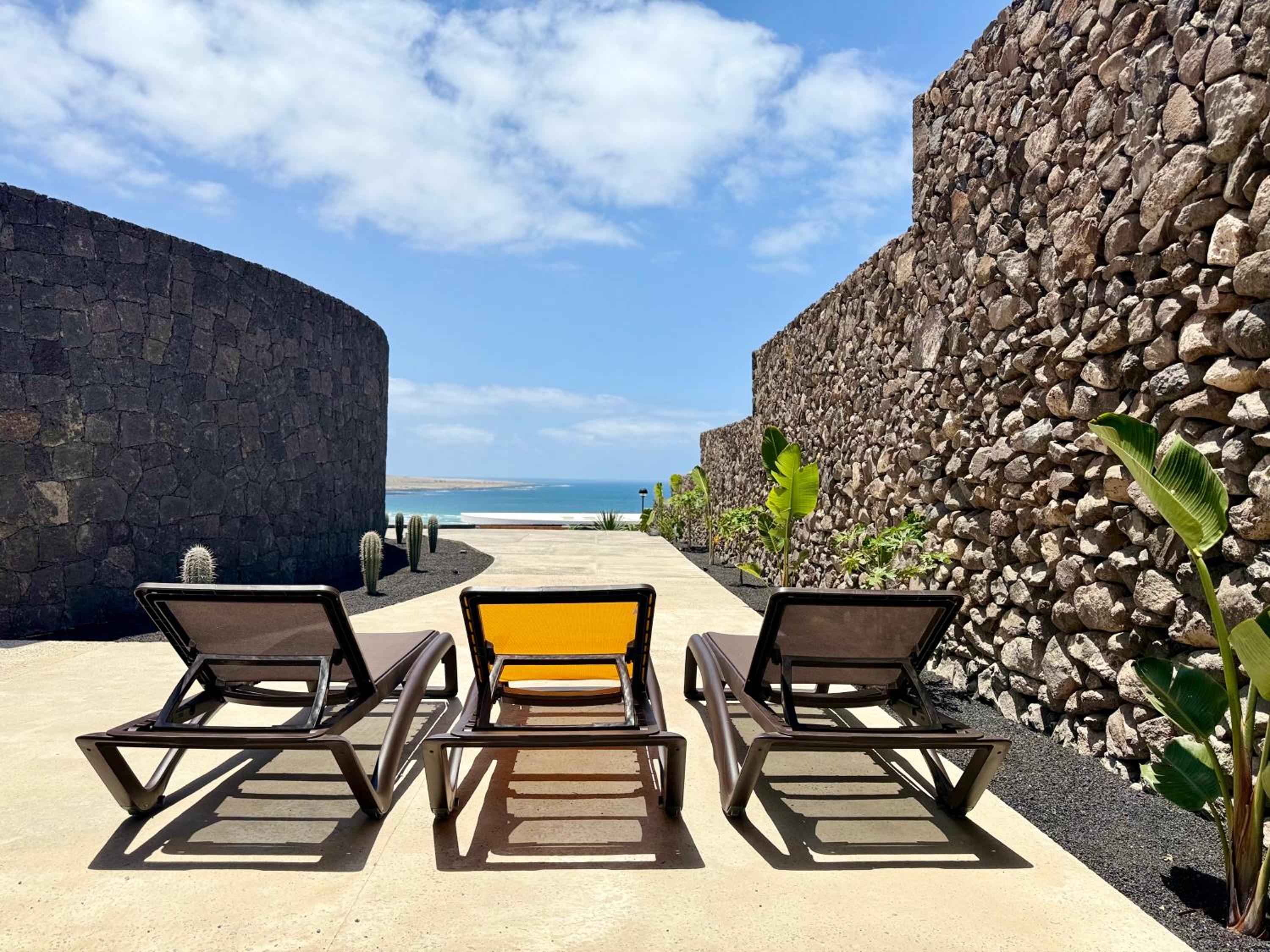 Canaryislandshost I Oliva