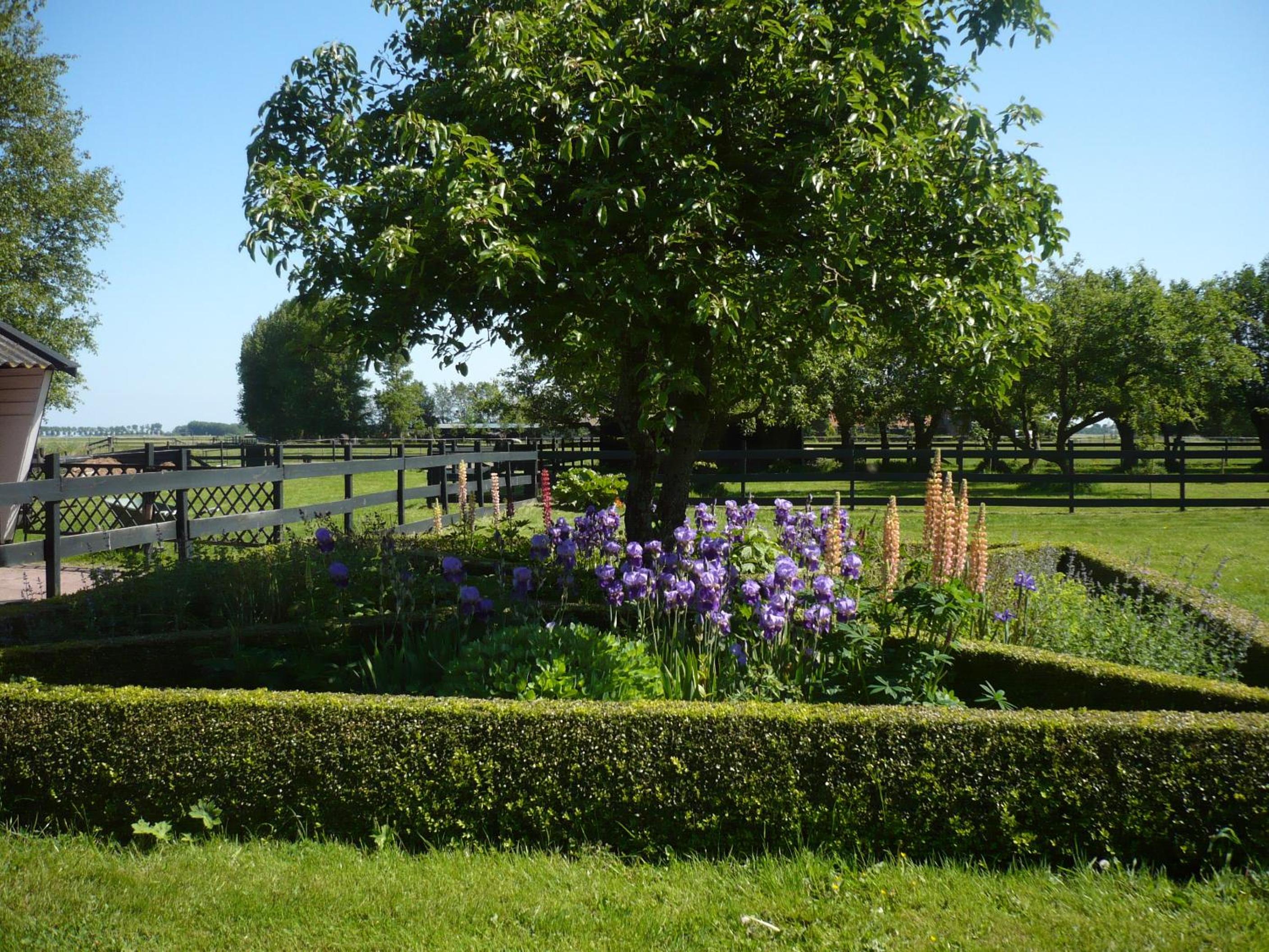 Shepherds House B&B view 5