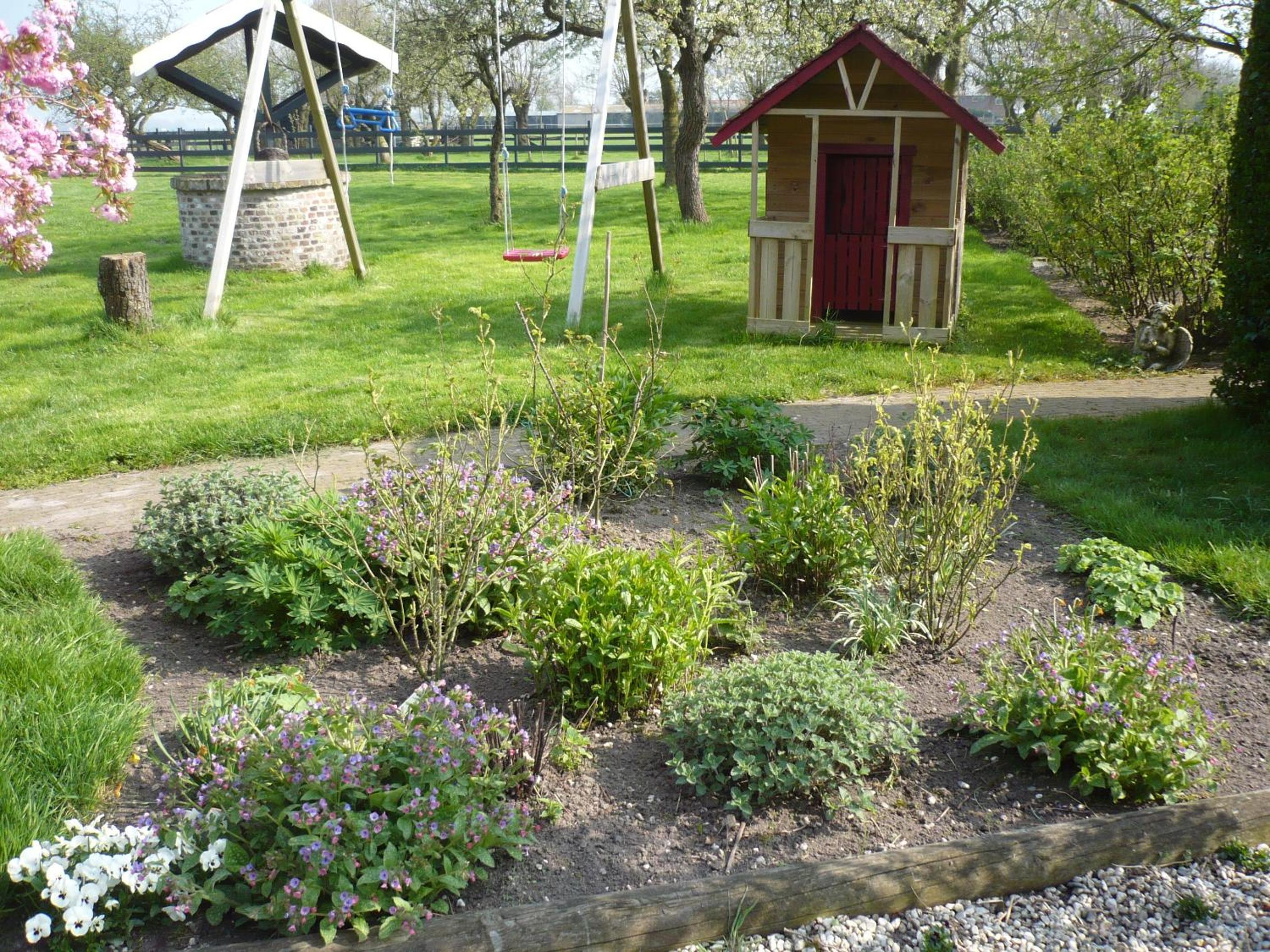Photo 6