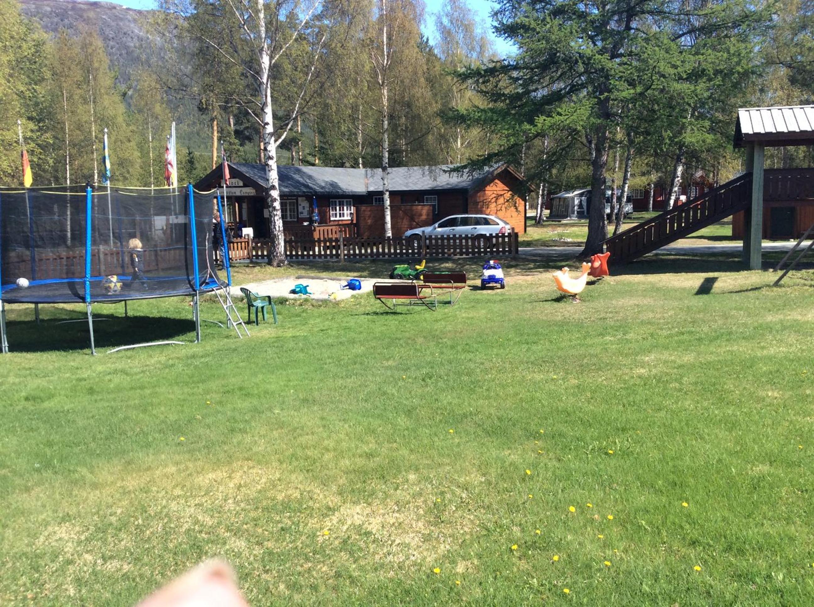 Photo 11