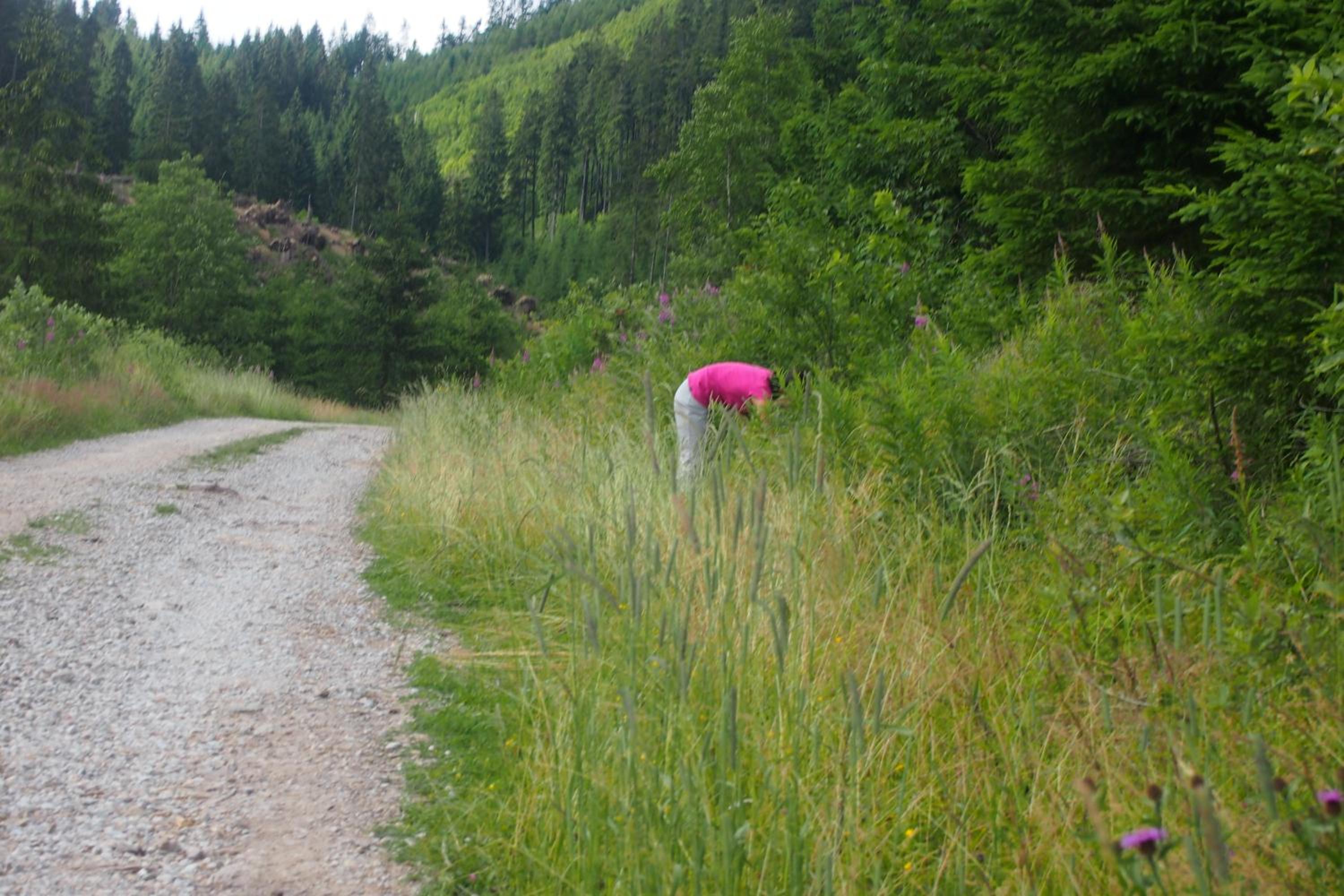 Photo 40