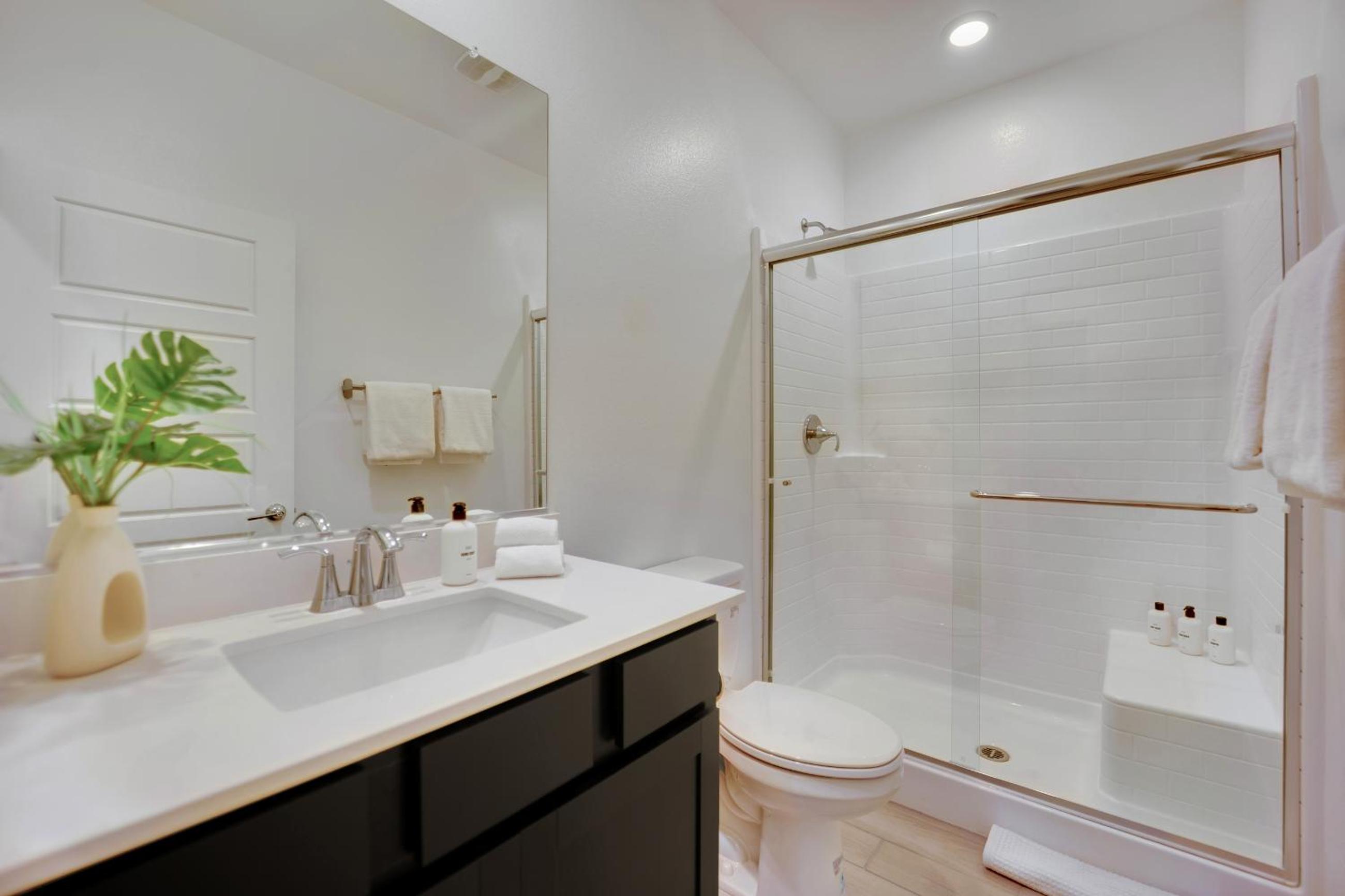 Casa Niva A Contemporary Oasis in the Heart of Las Vegas