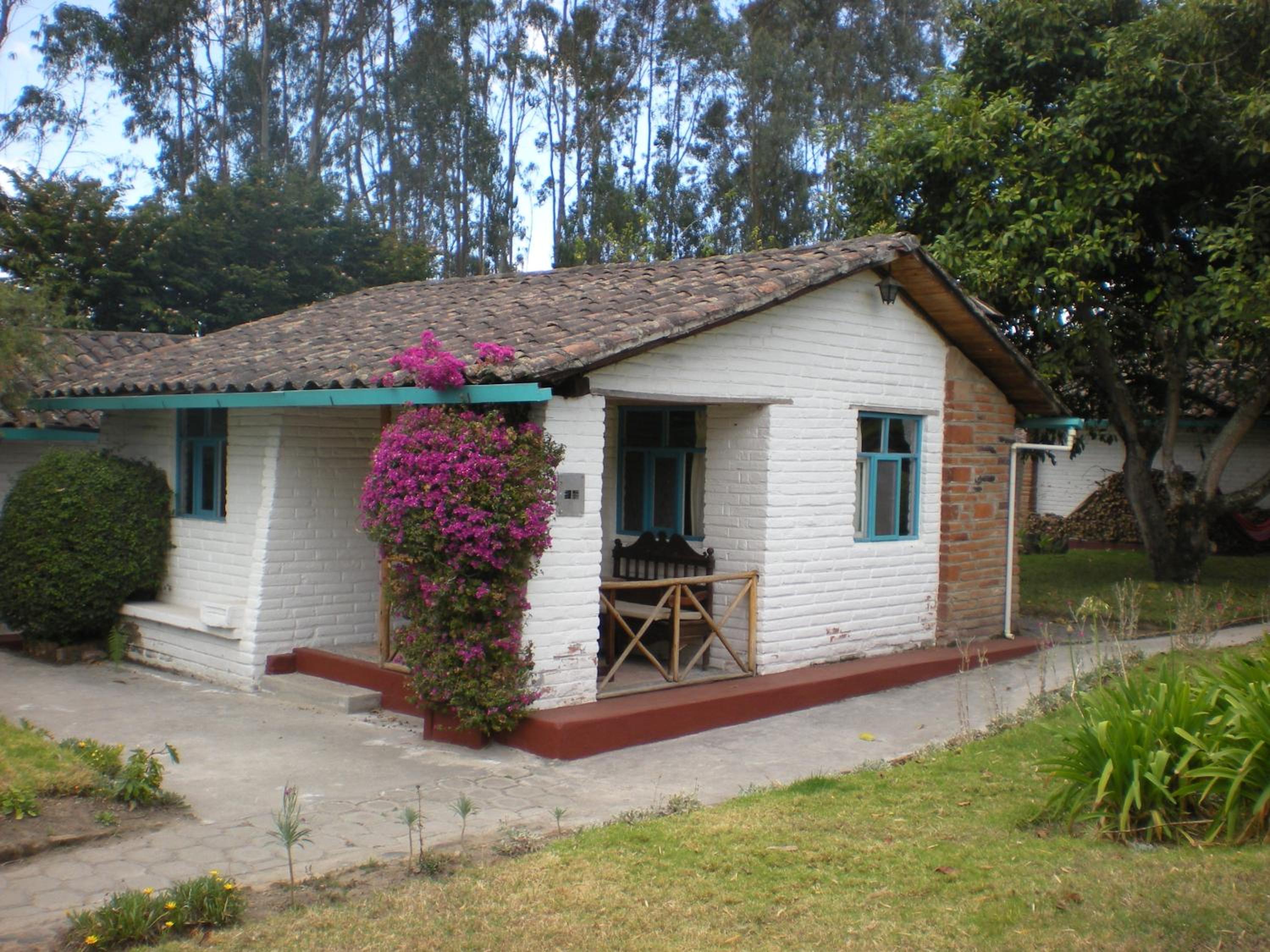 Las Palmeras Inn