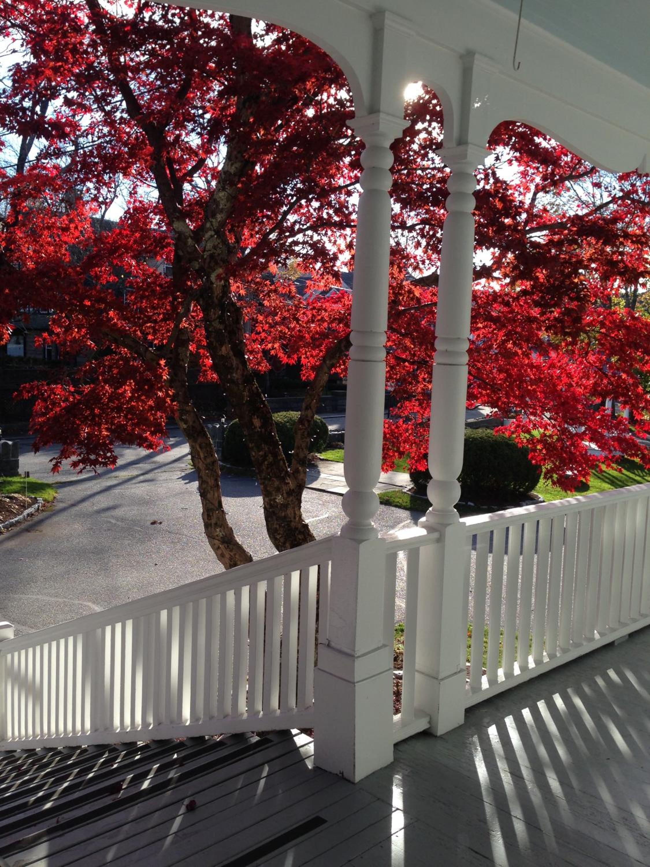 Moseley Cottage Inn and The Town Motel