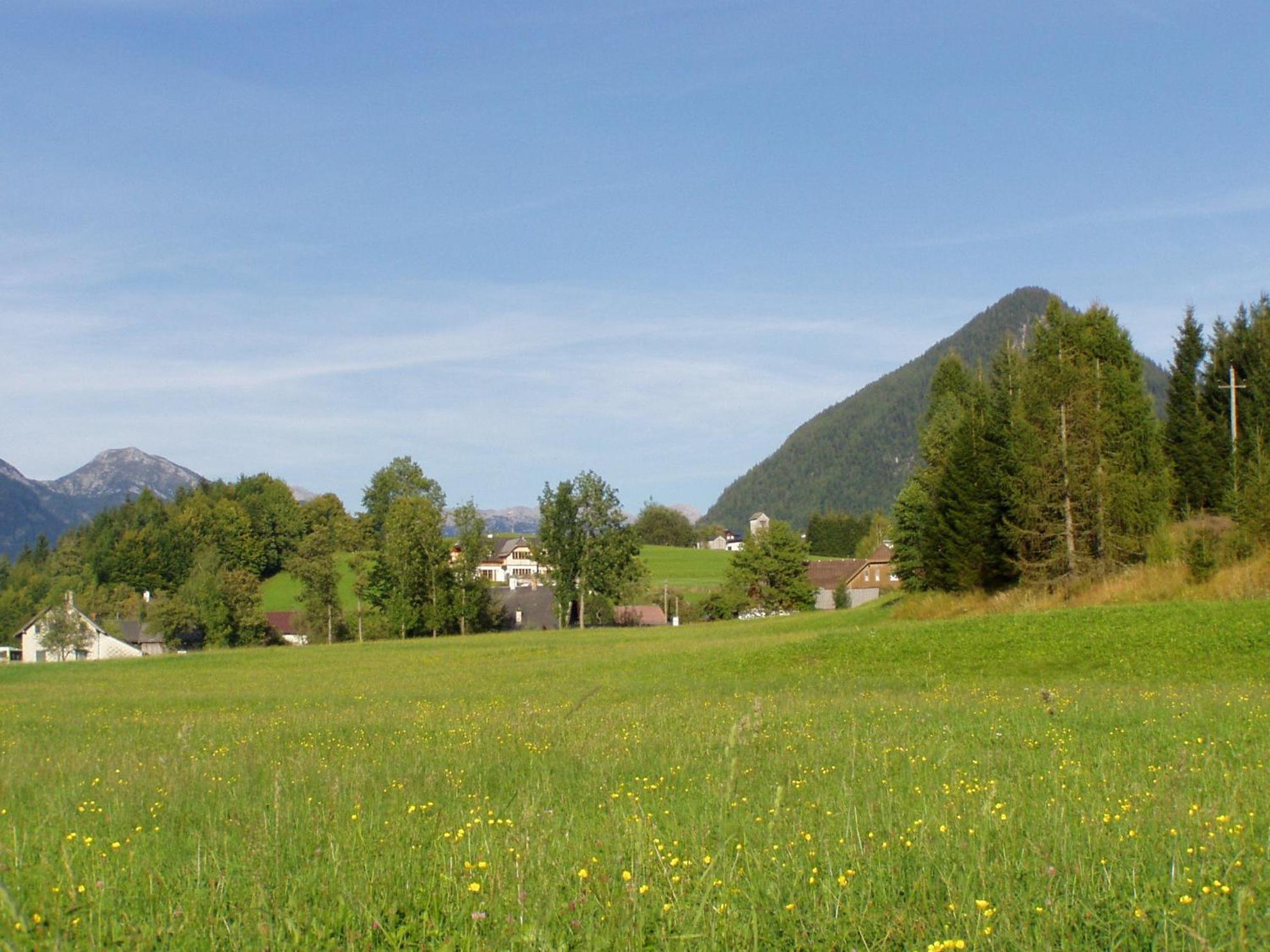 Die Traunmühle