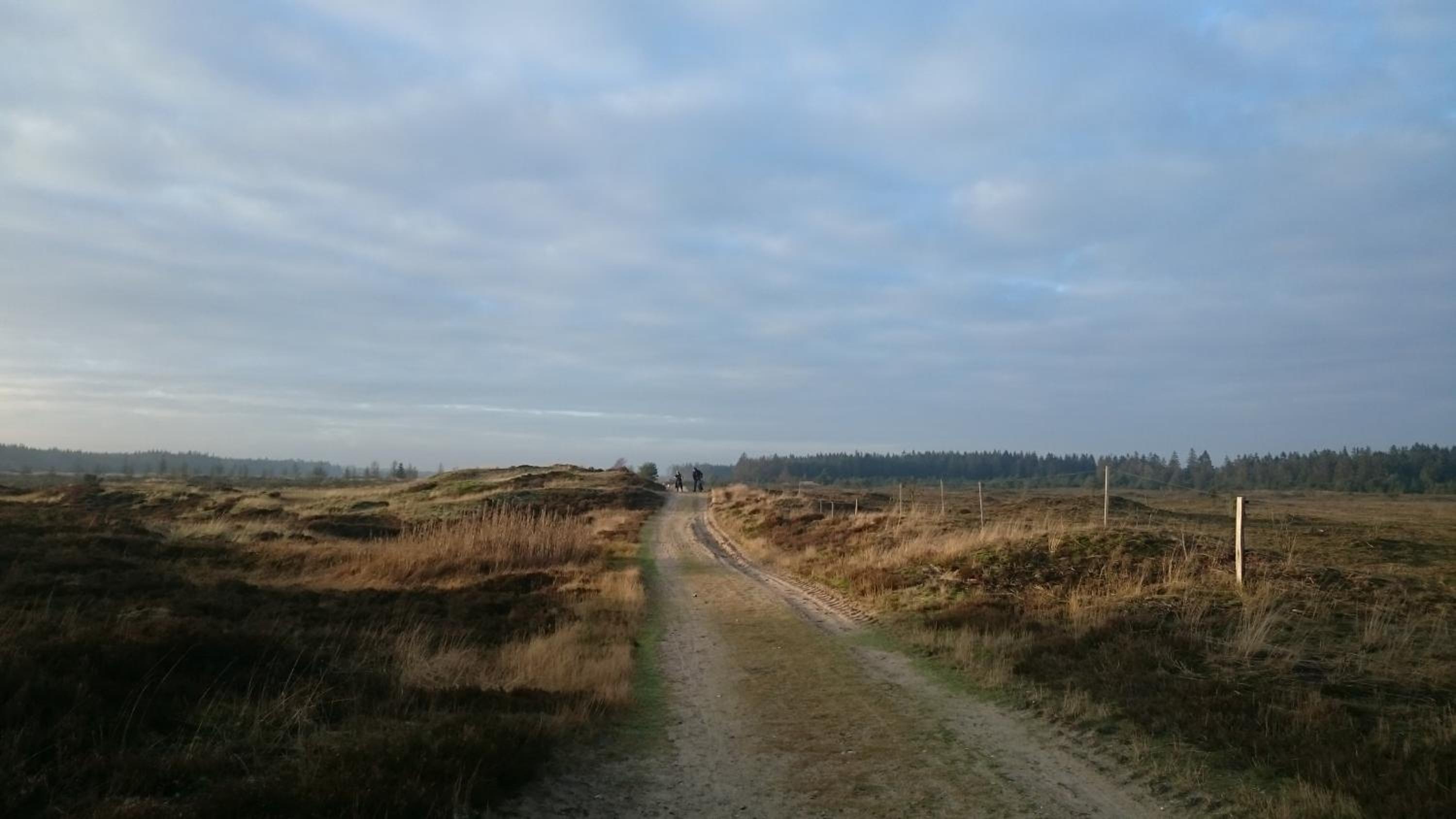 Aagaarden