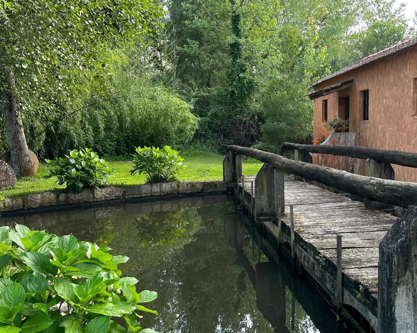 Casa Amarela - O seu Oásis na floresta