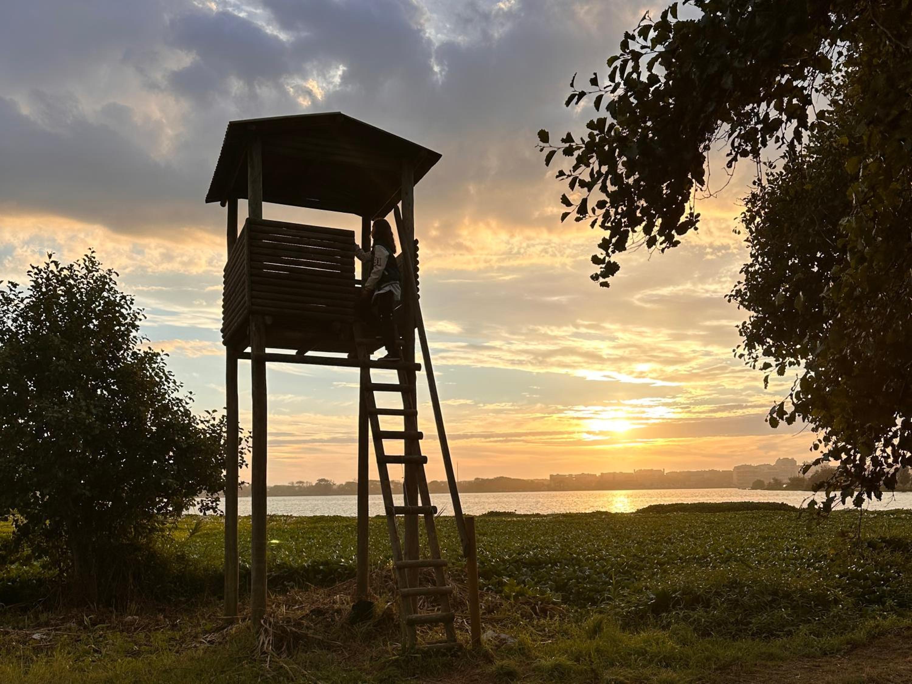 Casa Amarela - O seu Oásis na floresta
