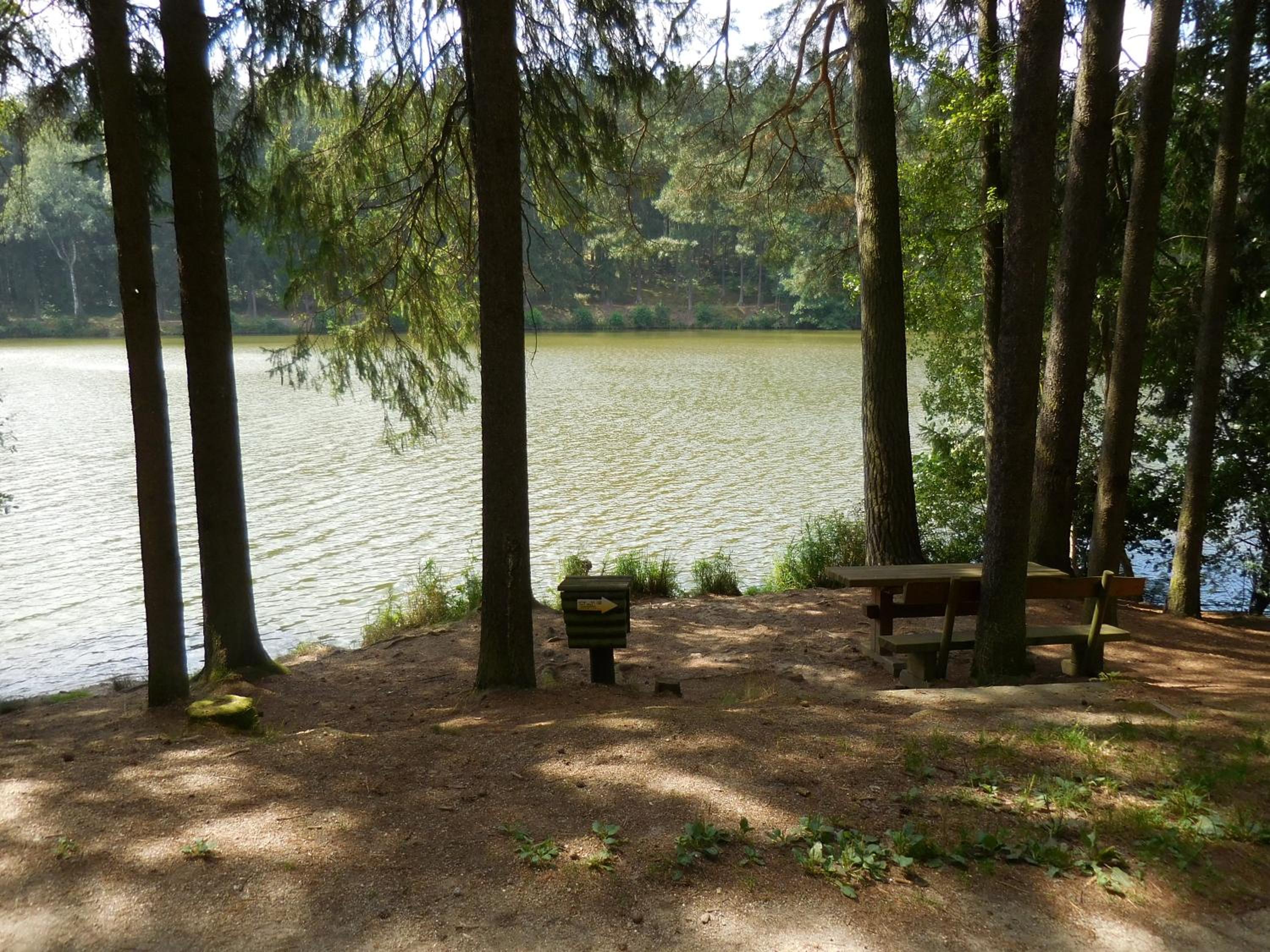 Photo 27