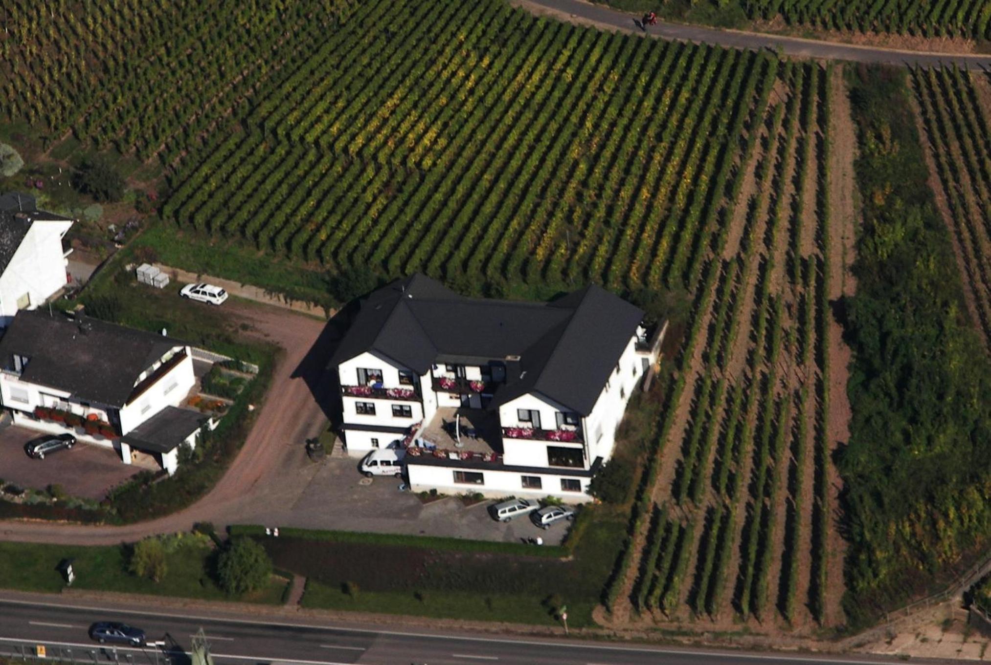 Ferienwohnung Moselpension Gwosch