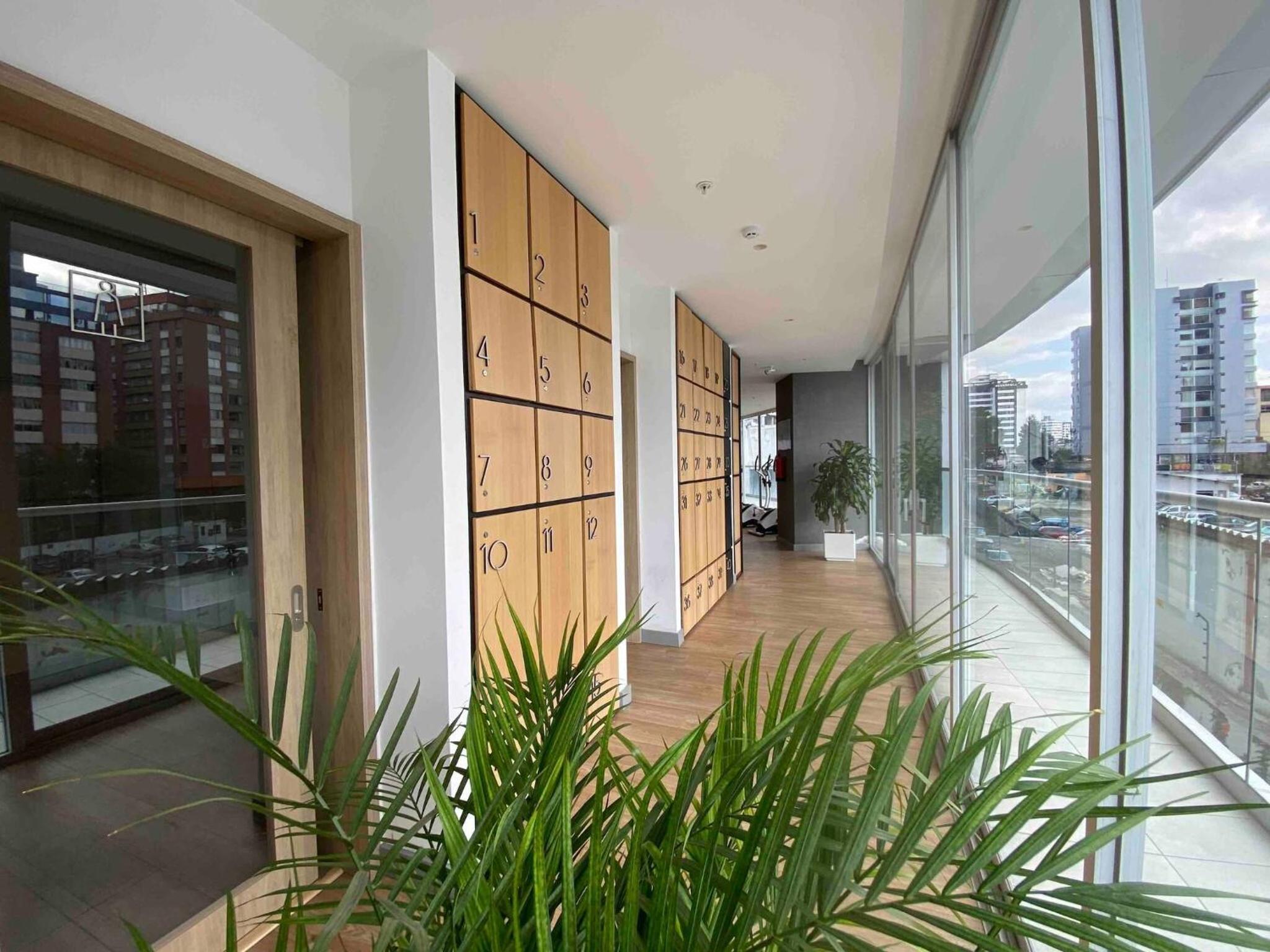 Beautiful apt-balcony in La Carolina 70 QLED TV