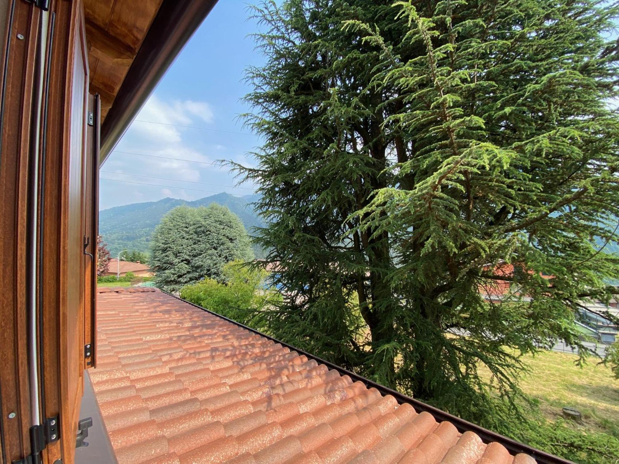 Il giardino dei pini