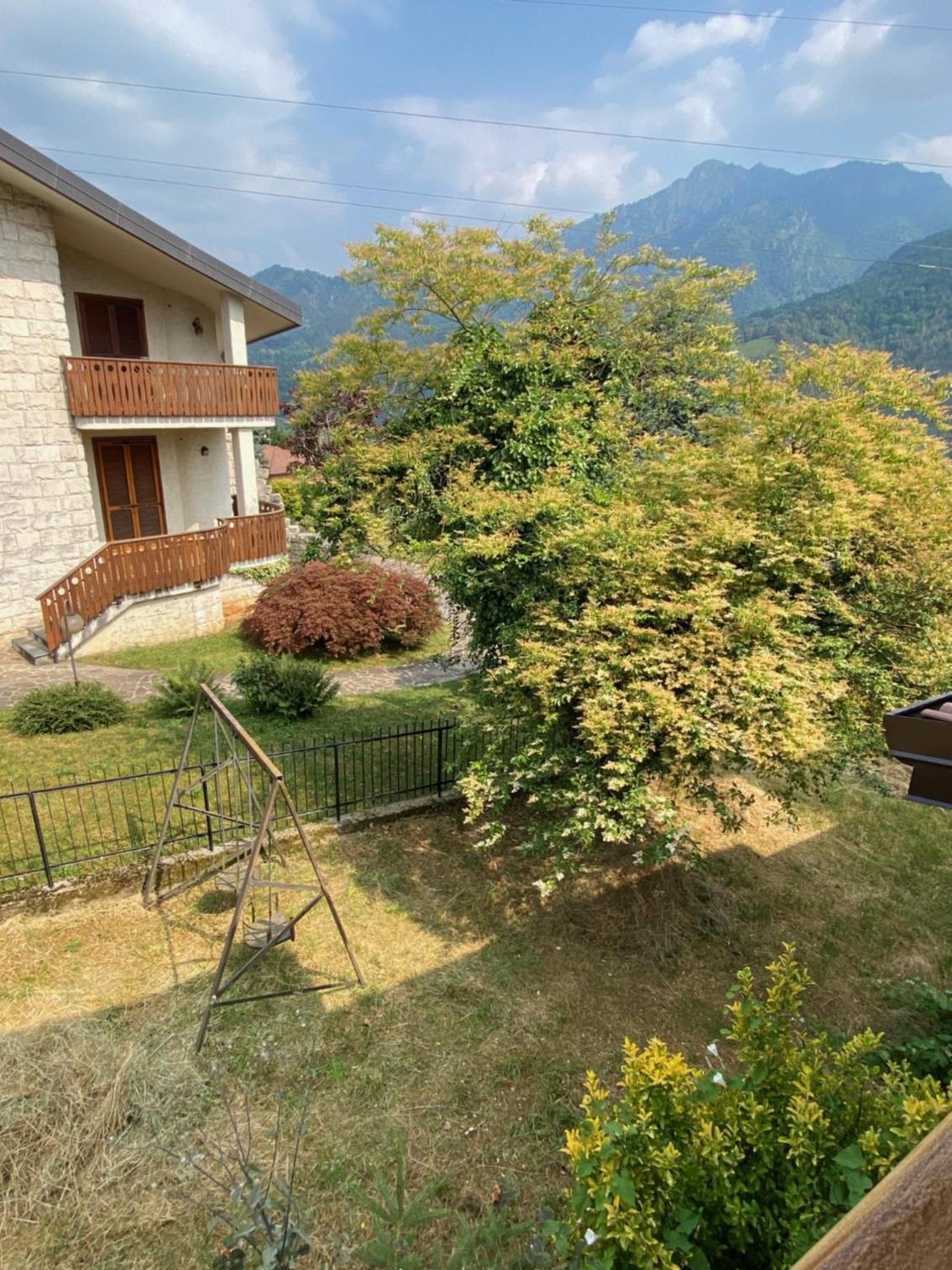 Il giardino dei pini