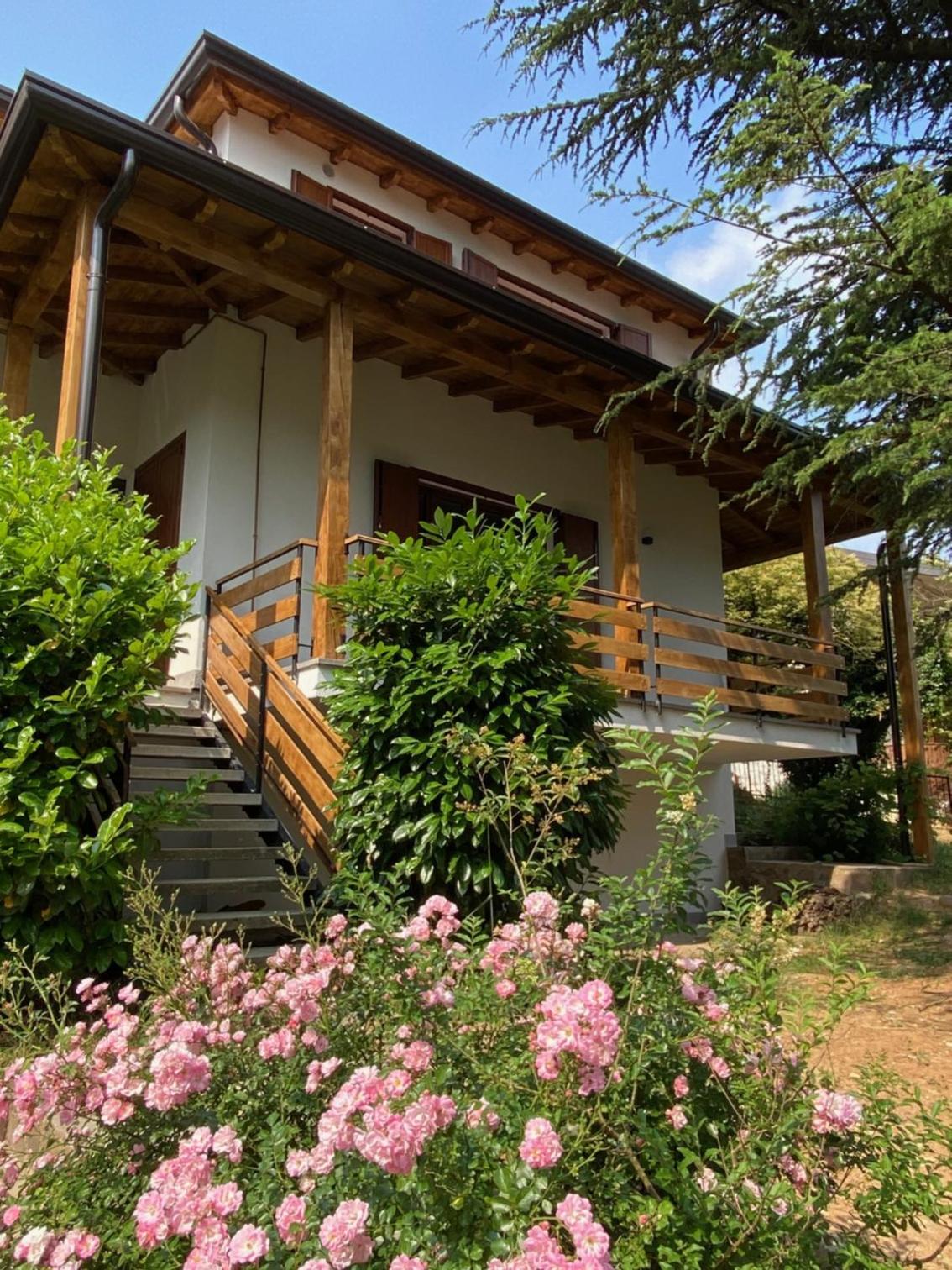 Il giardino dei pini