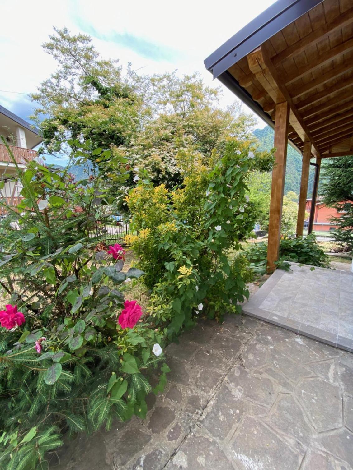 Il giardino dei pini