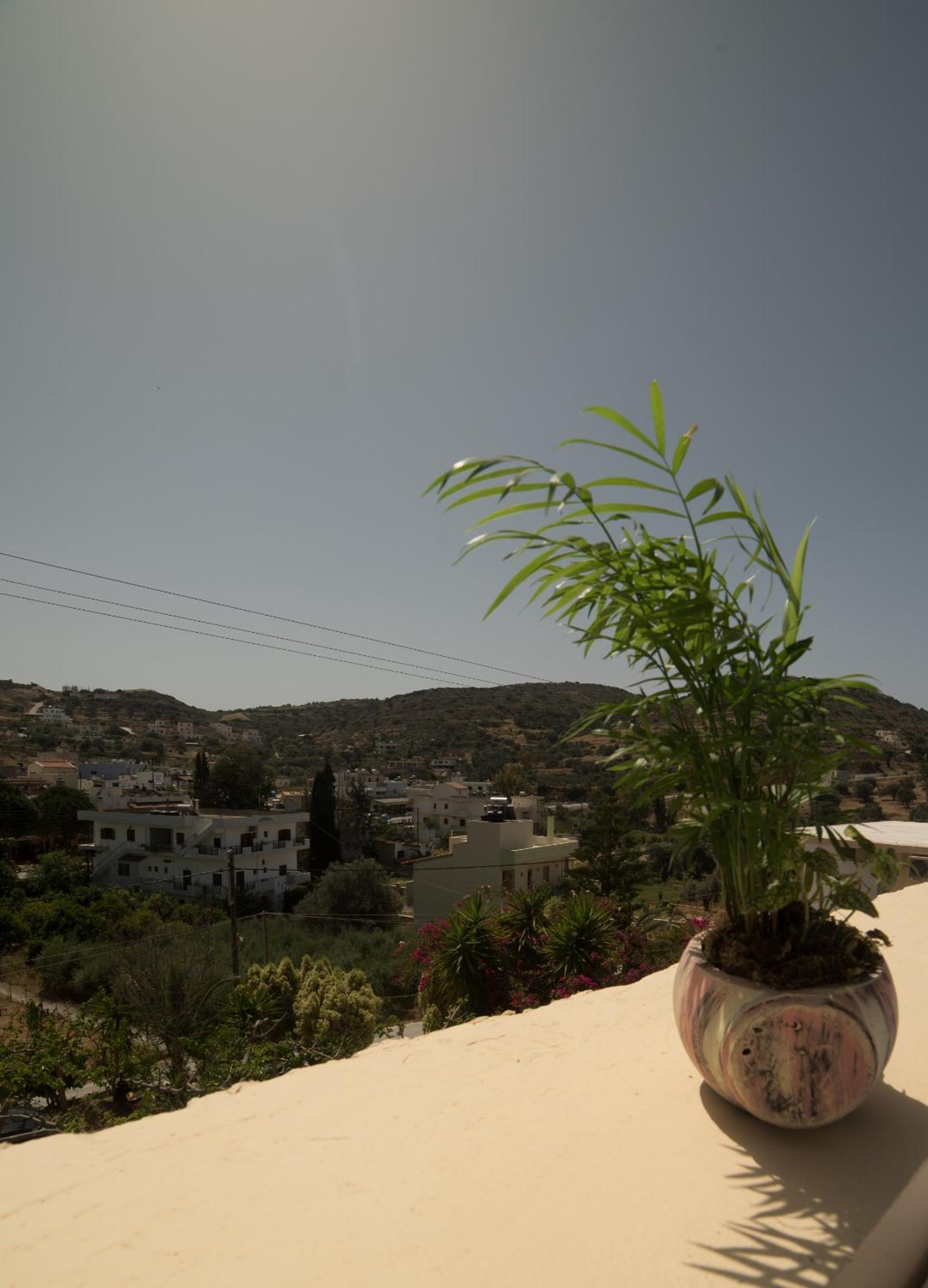 Photo 35