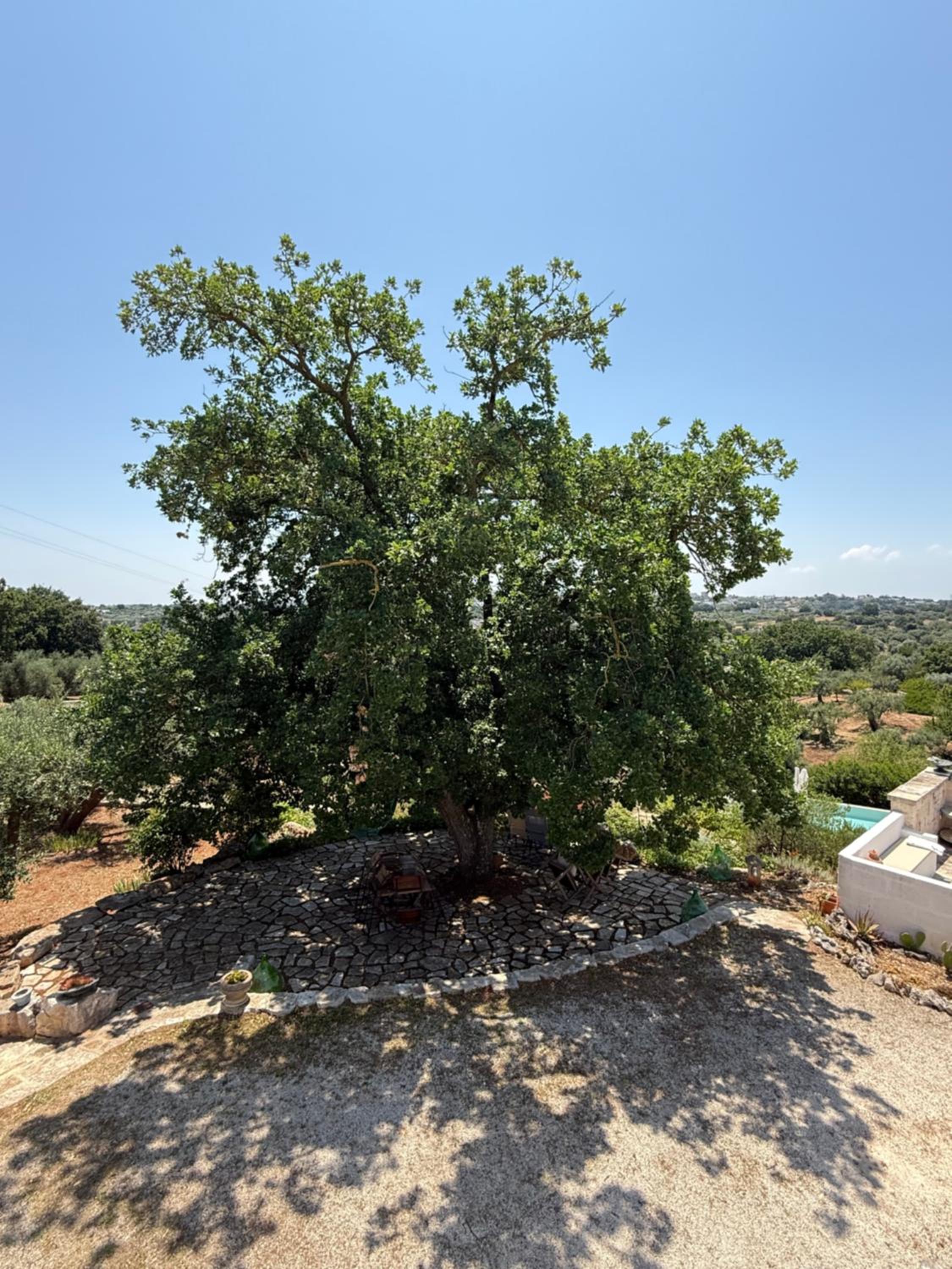 Exclusive Trullo with pool