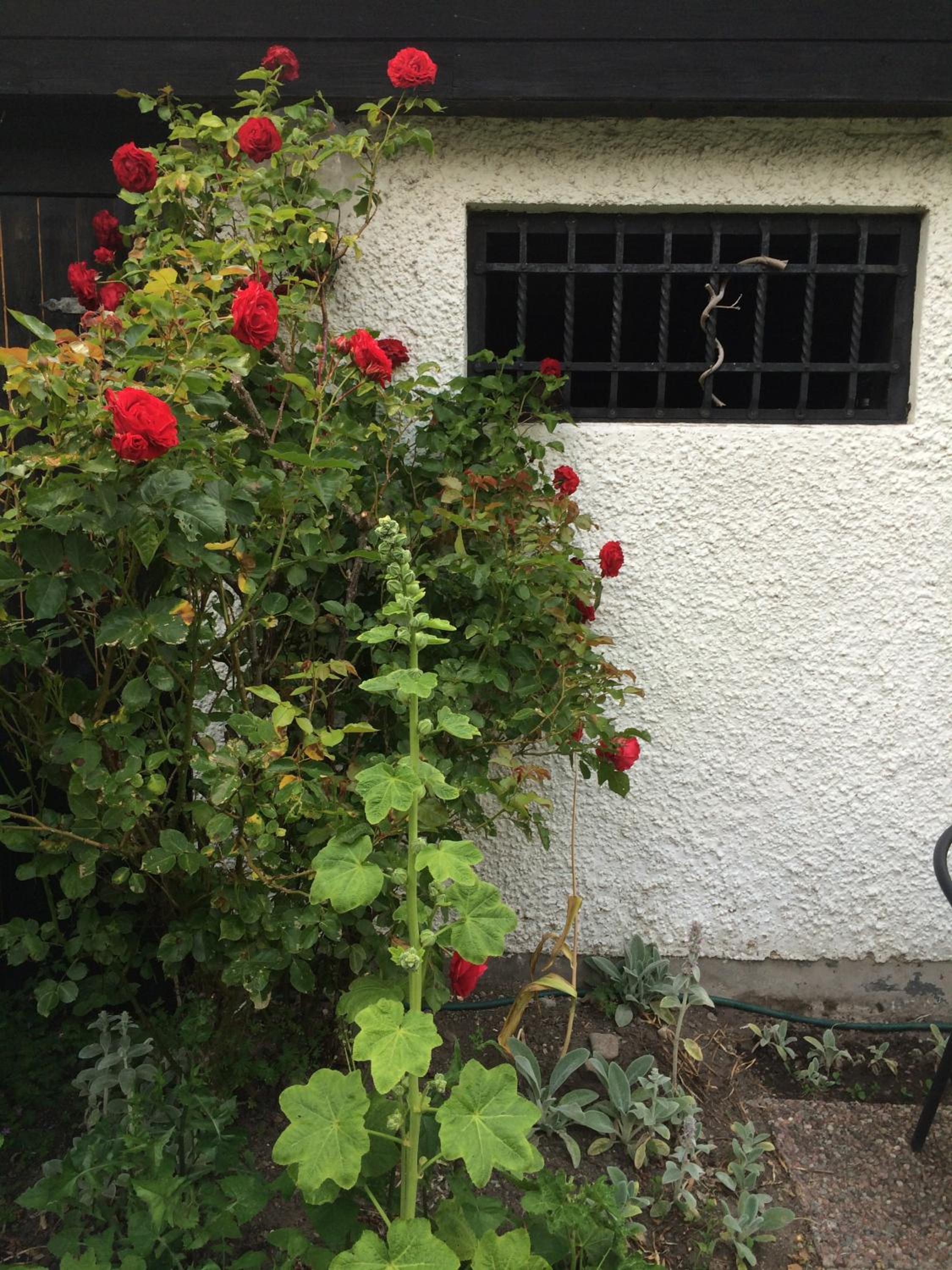 Photo 45