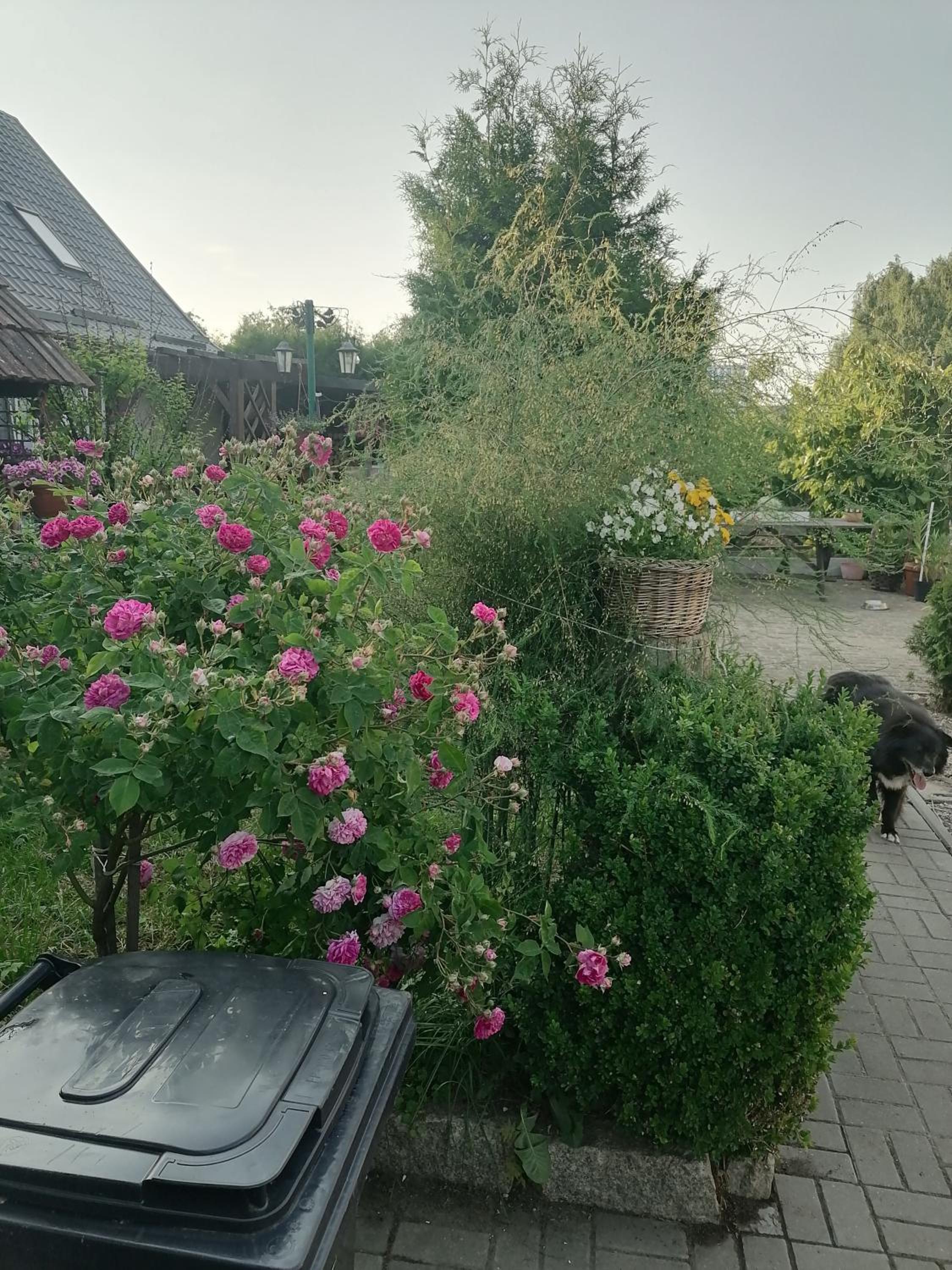 Photo 34