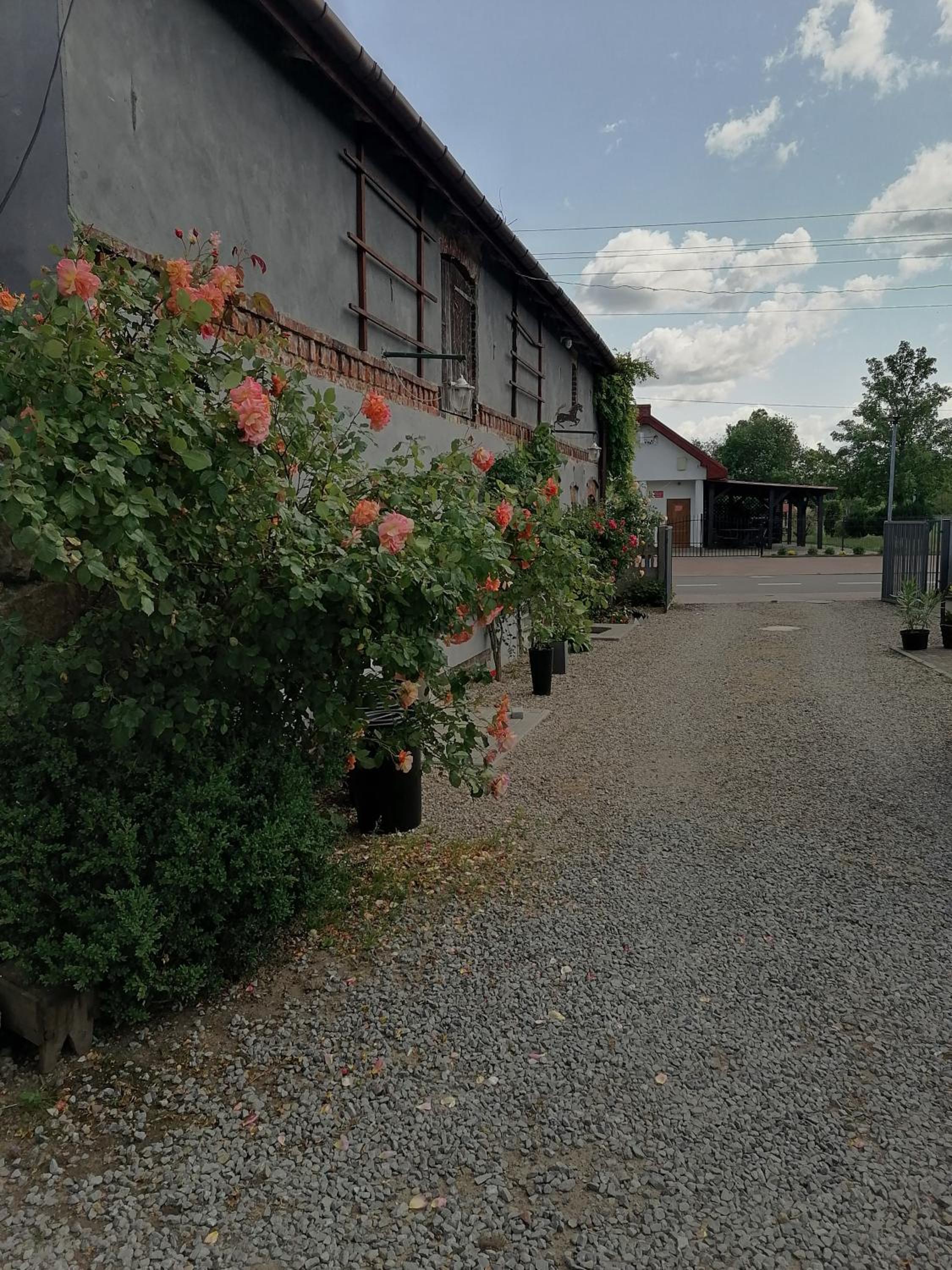 Photo 31