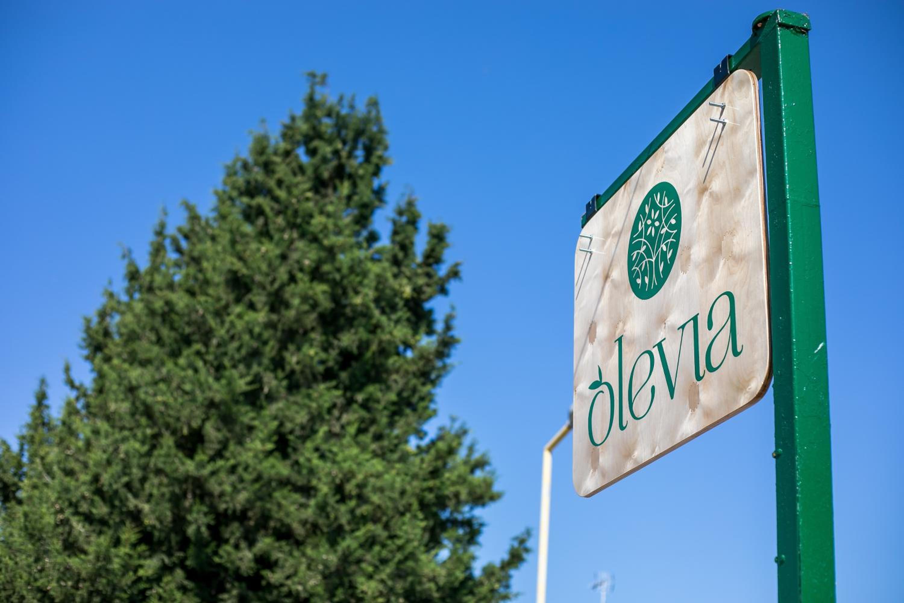 Olevia Comfort