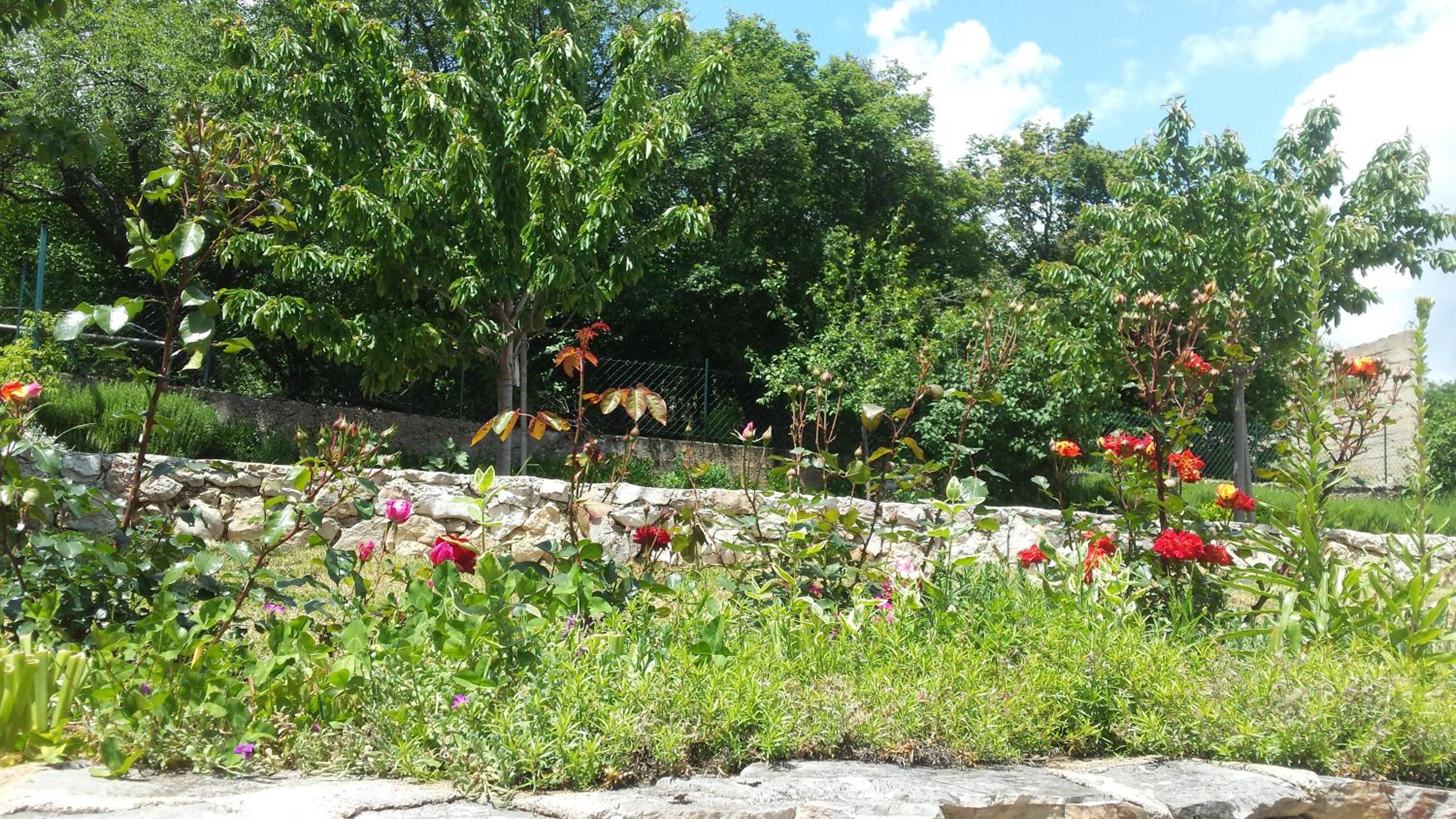 Photo 49