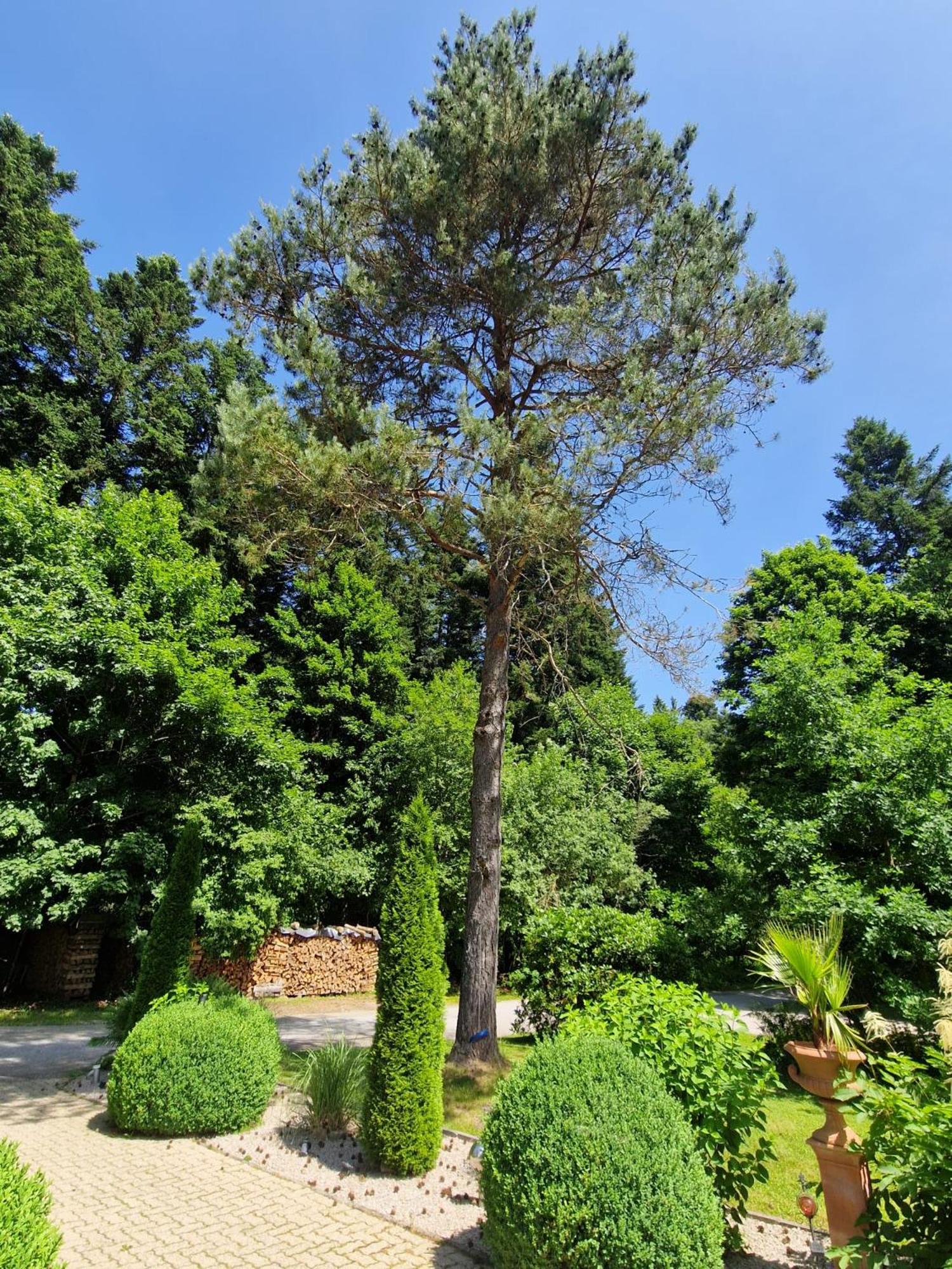 Gästezimmer Im Haus Am Wald, photo 52