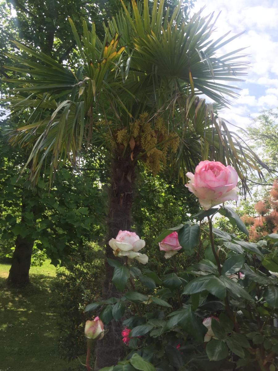 Photo 46