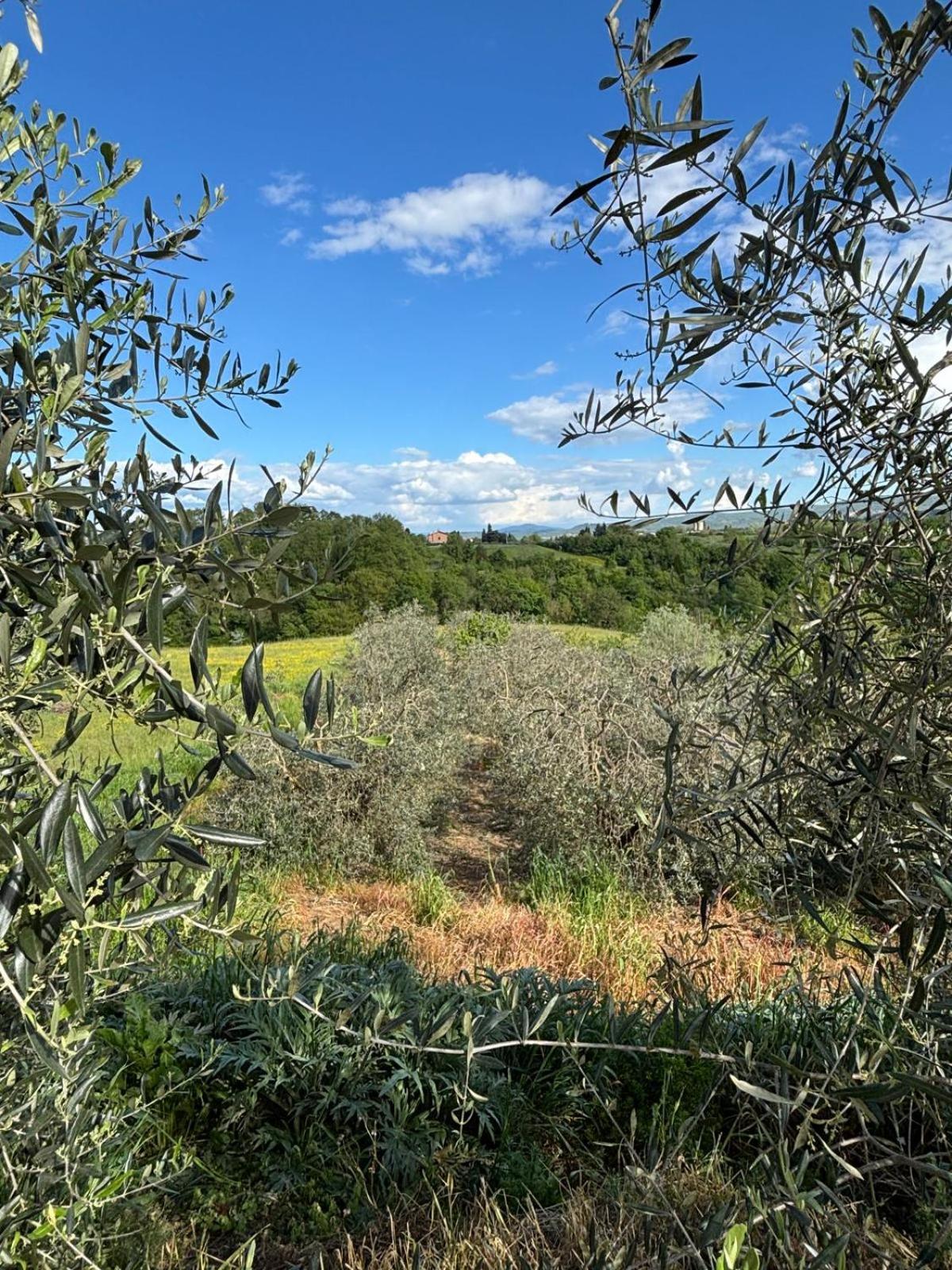 Agriturismo a casa di Toni
