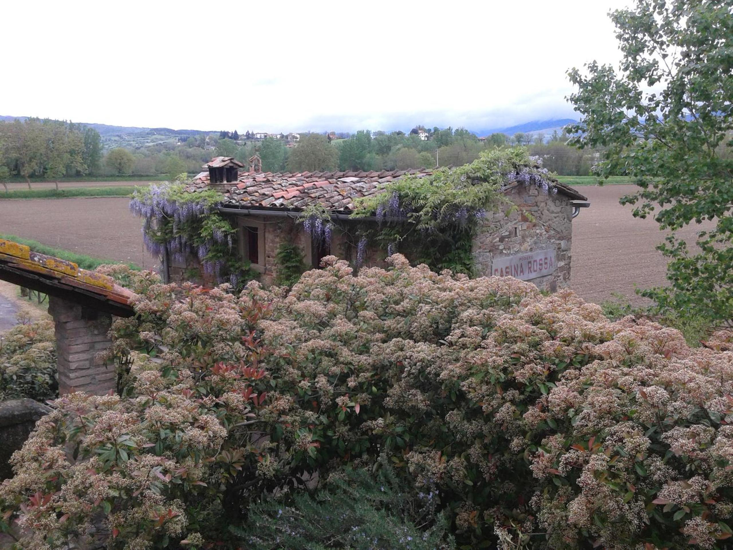 Podere Casina Rossa