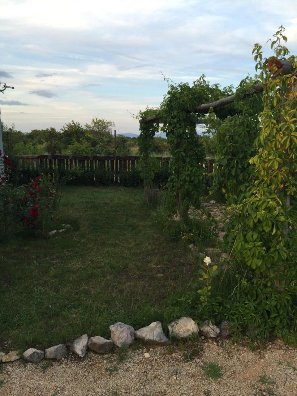 Photo 31