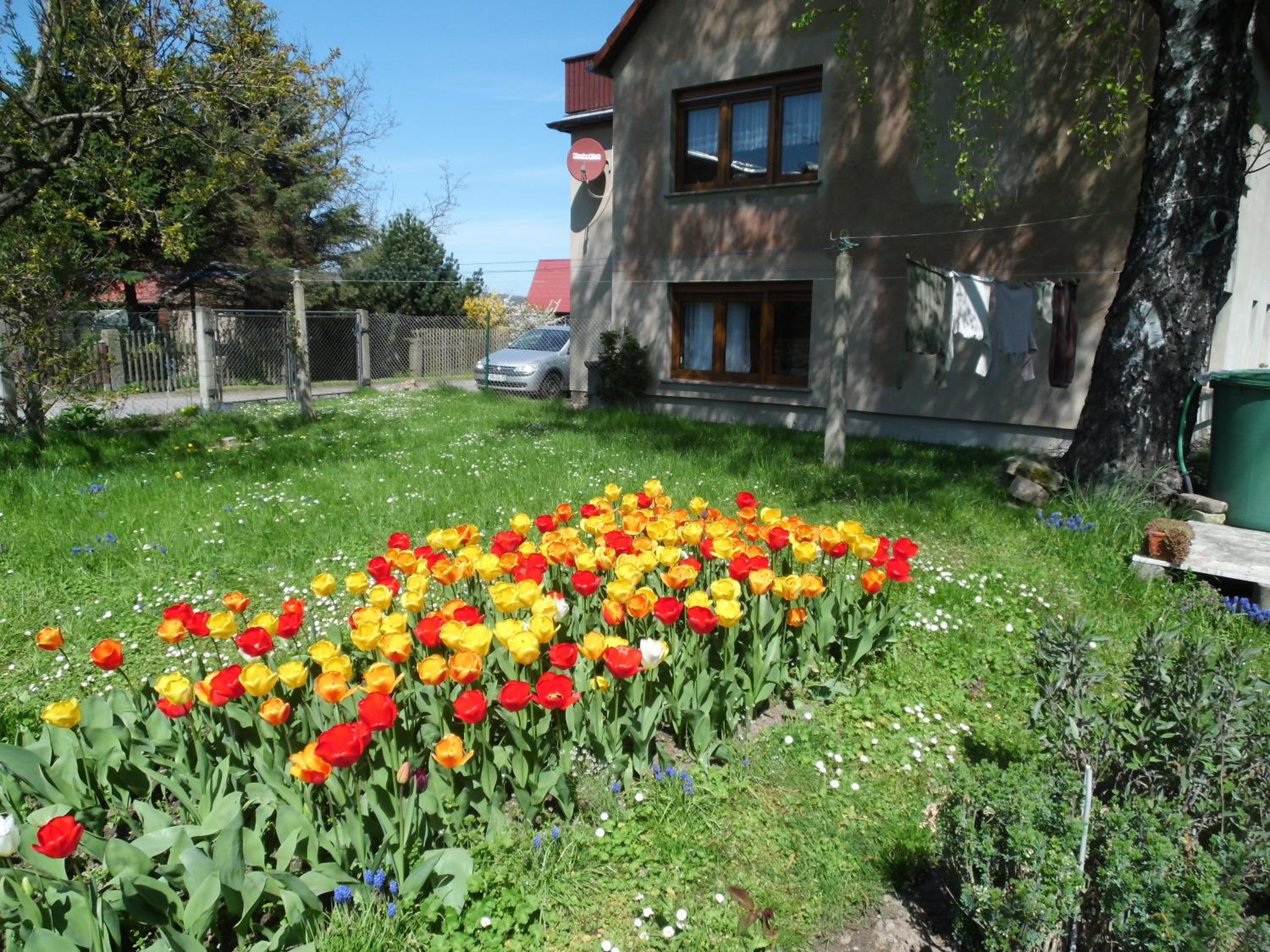 Photo 31