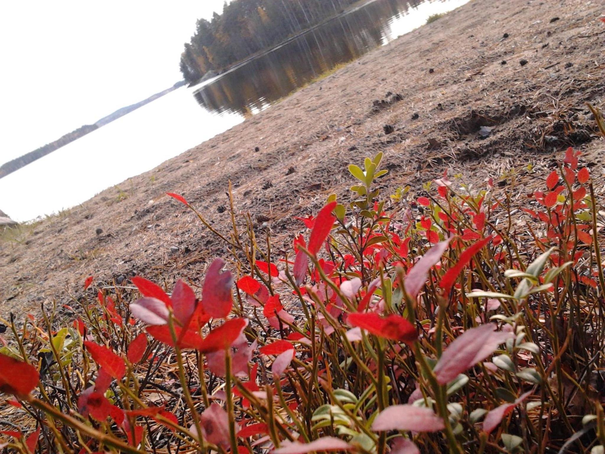 Kuoreksenniemi Villas & Lakehouse