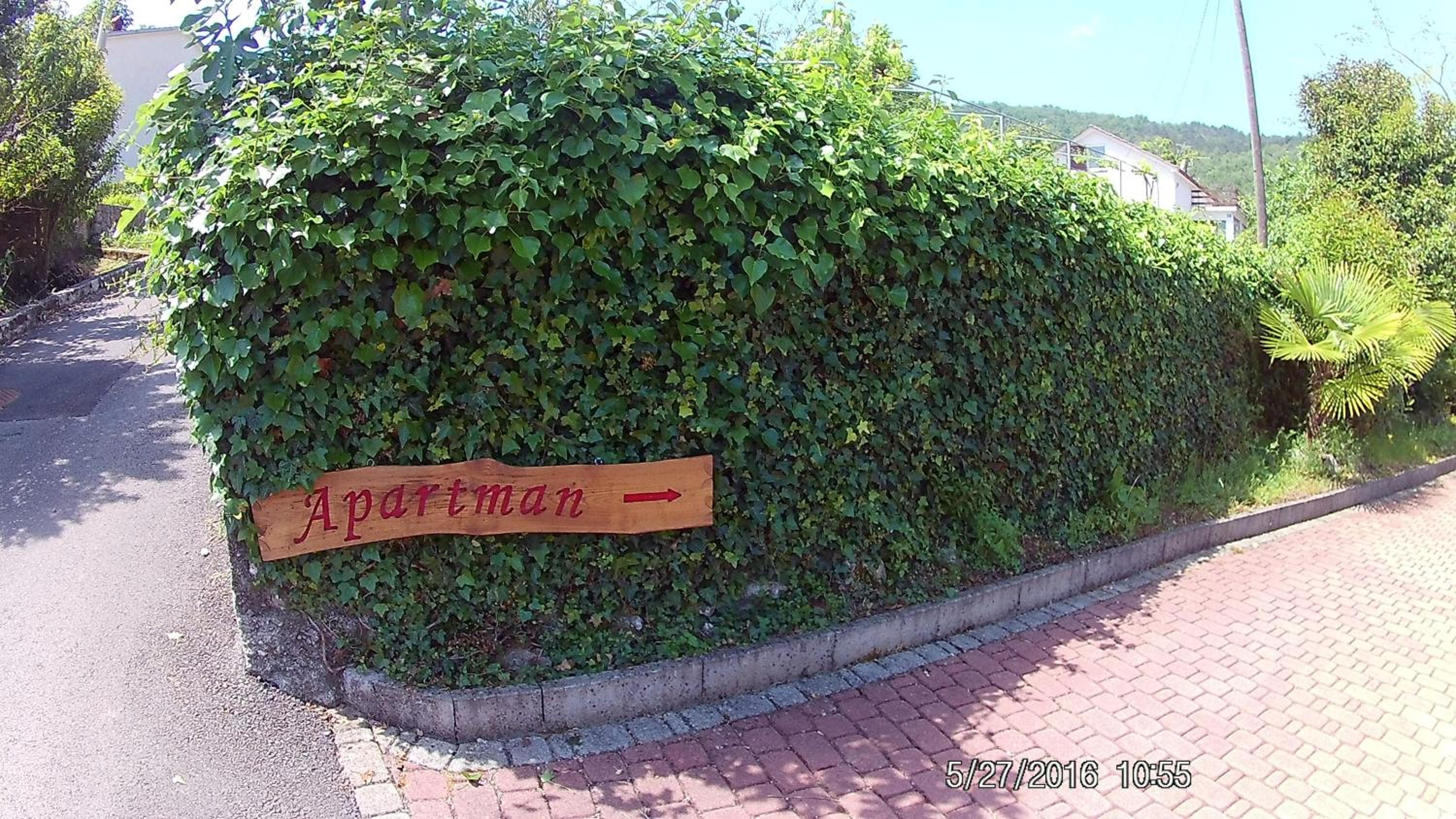 Photo 51