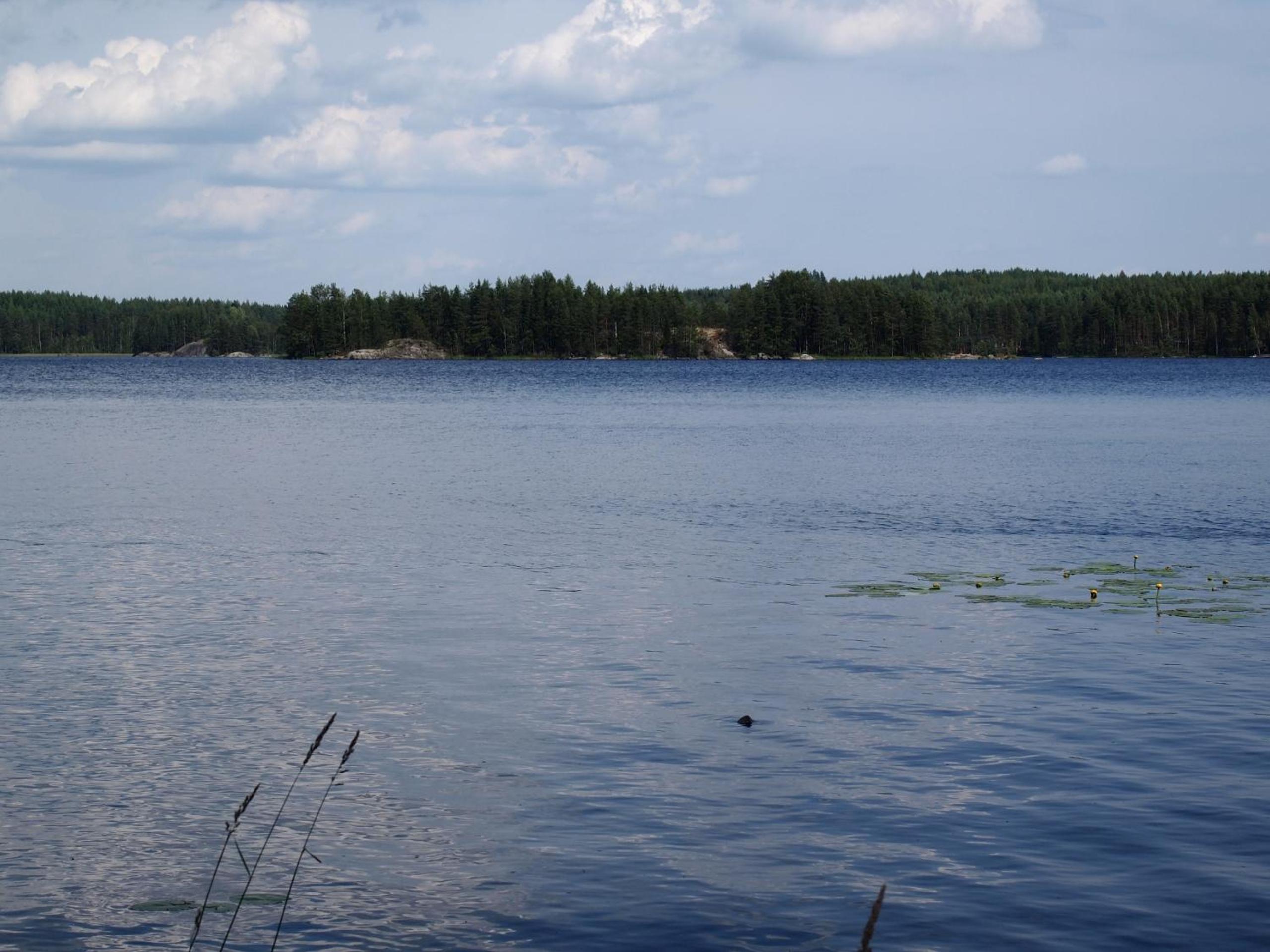 Kuoreksenniemi Villas & Lakehouse