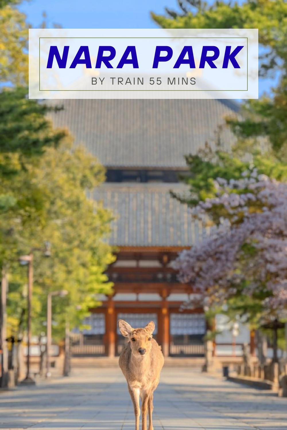 R Inn 本町 R-Inn Hommachi
