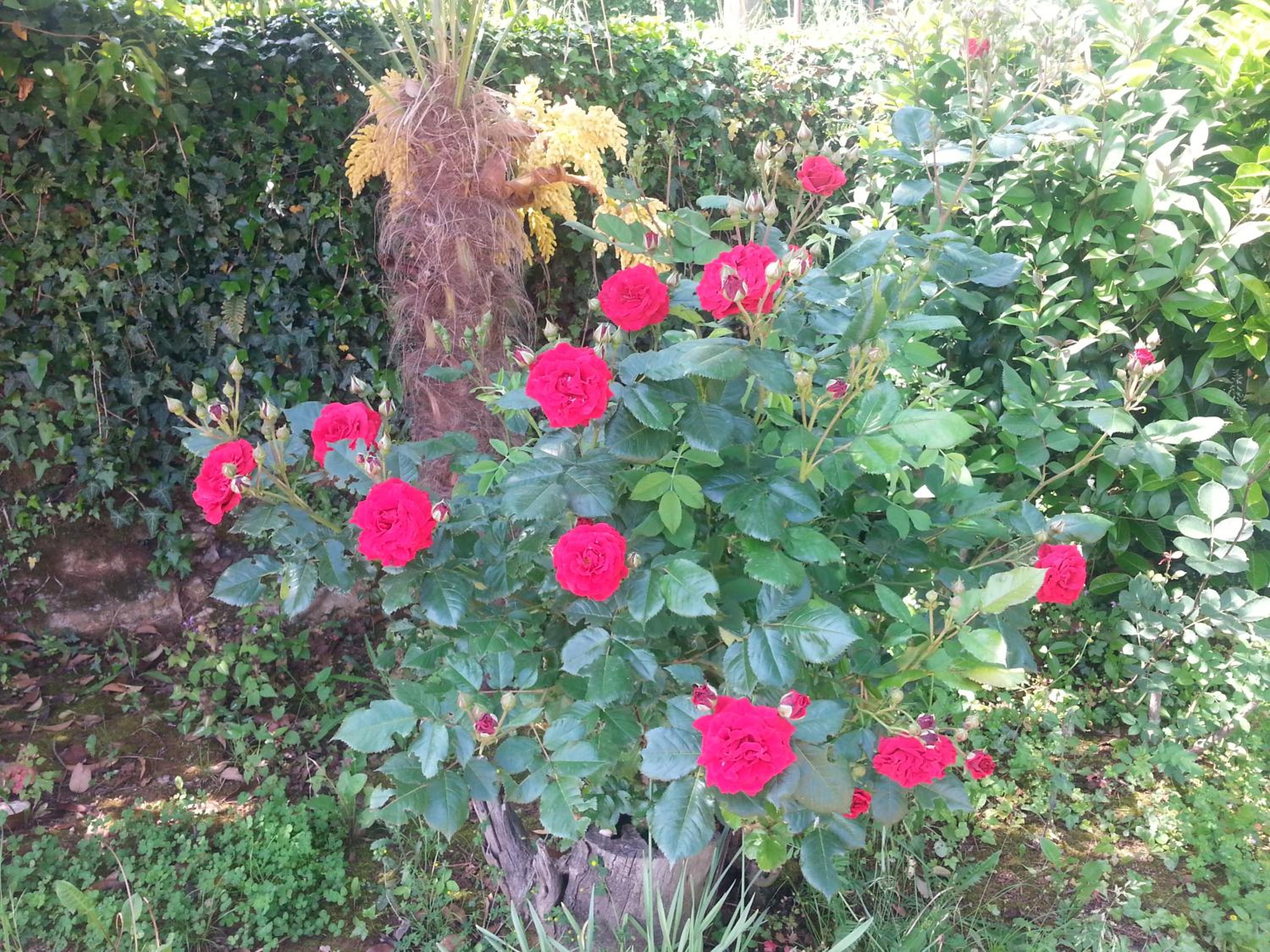 Photo 65