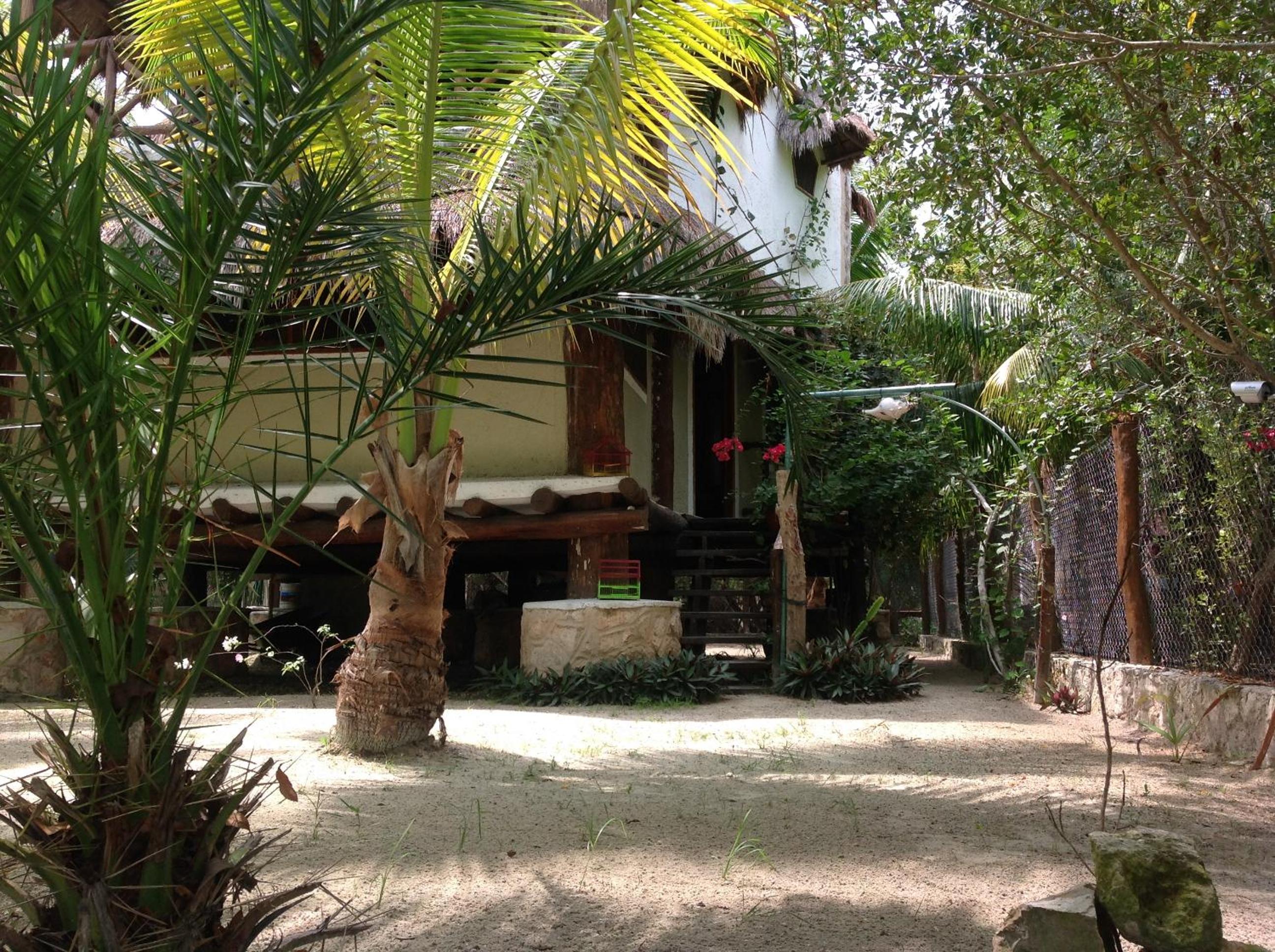 Photo 16