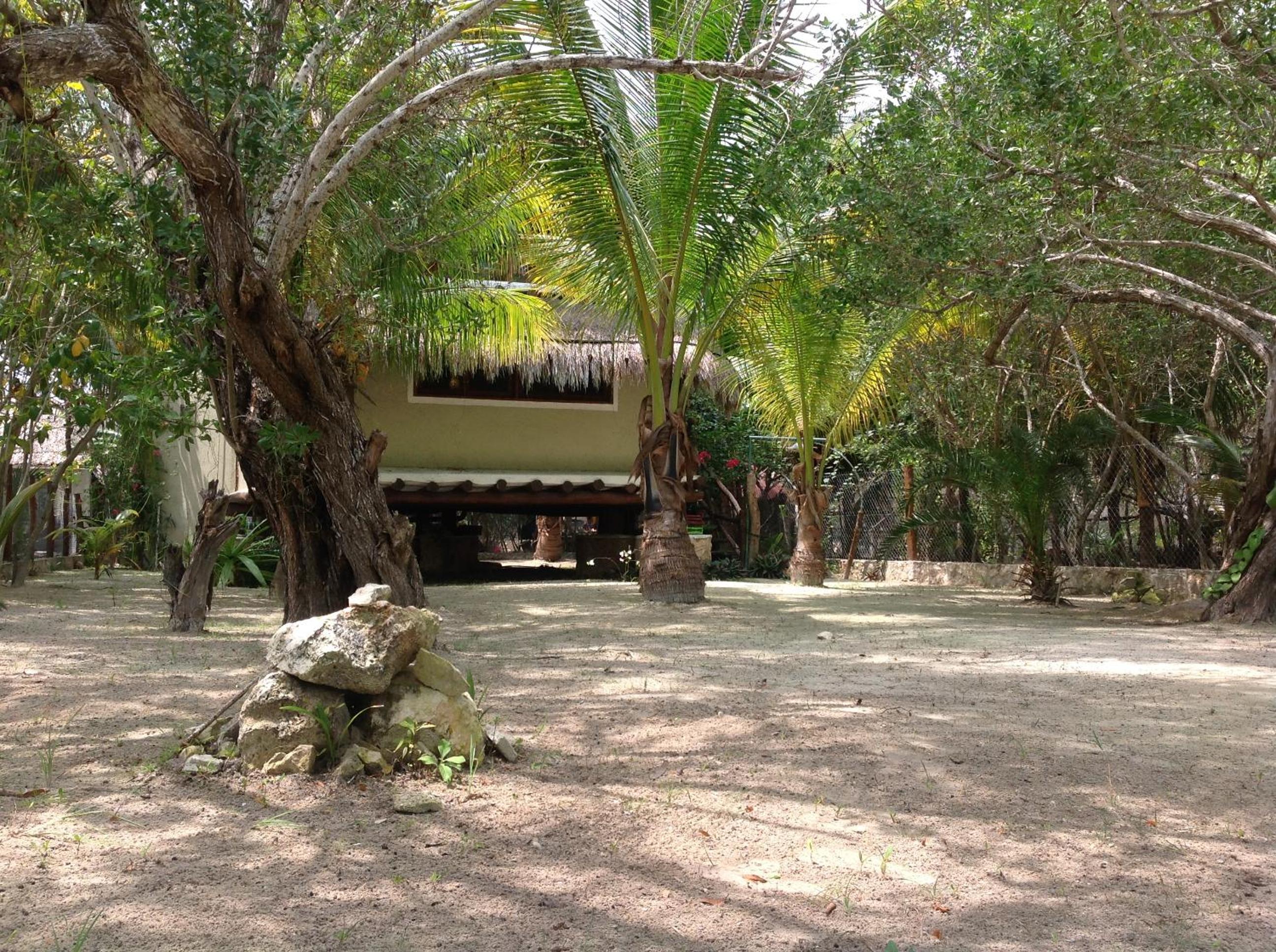 Photo 15