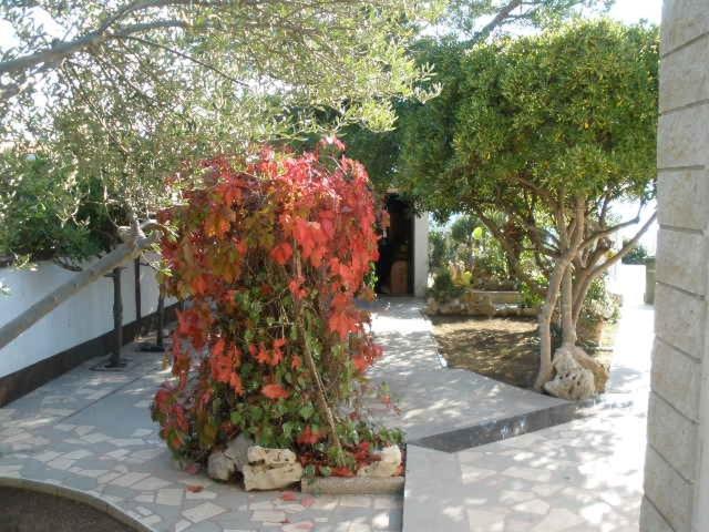Photo 61
