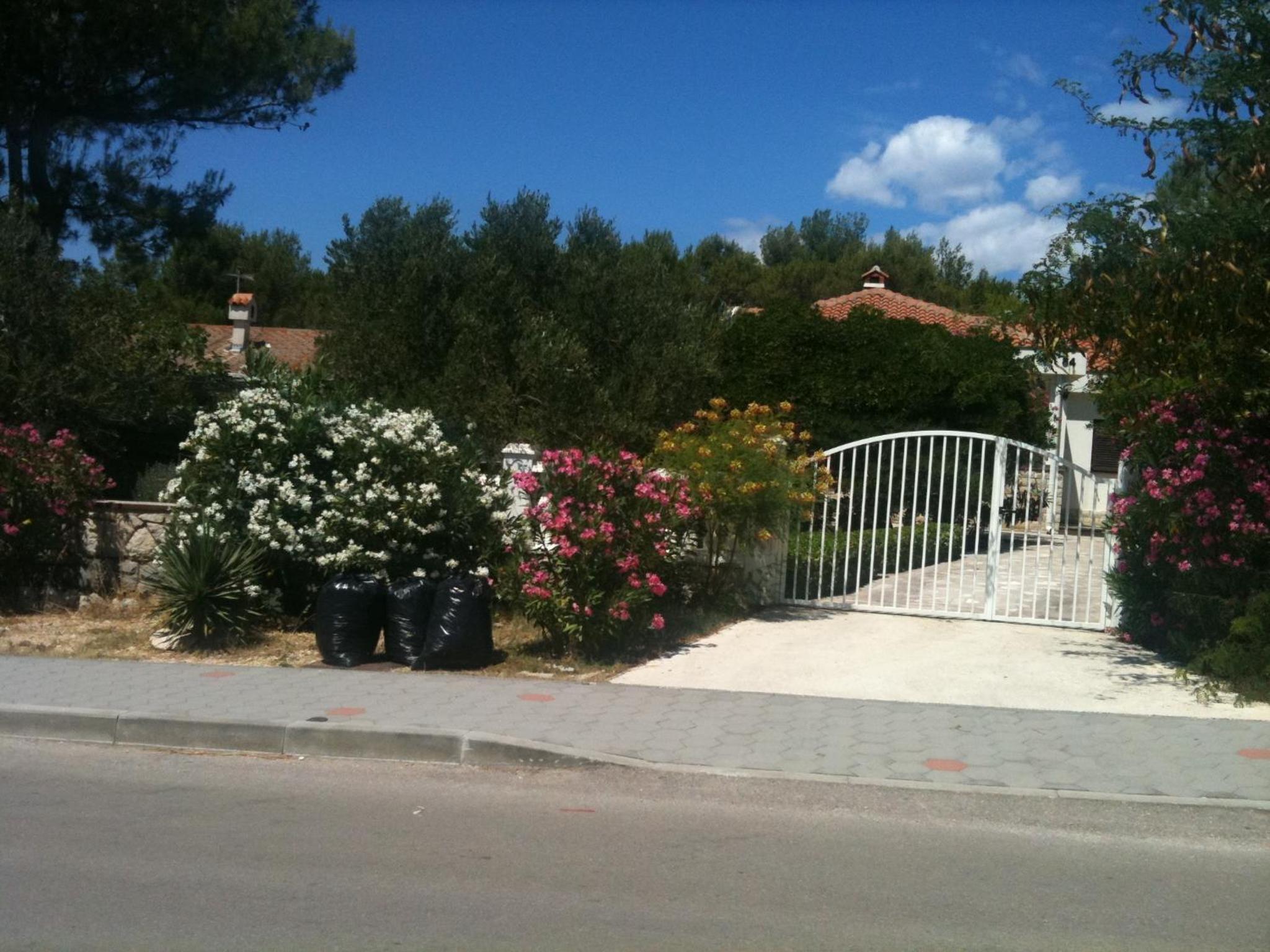 Photo 46