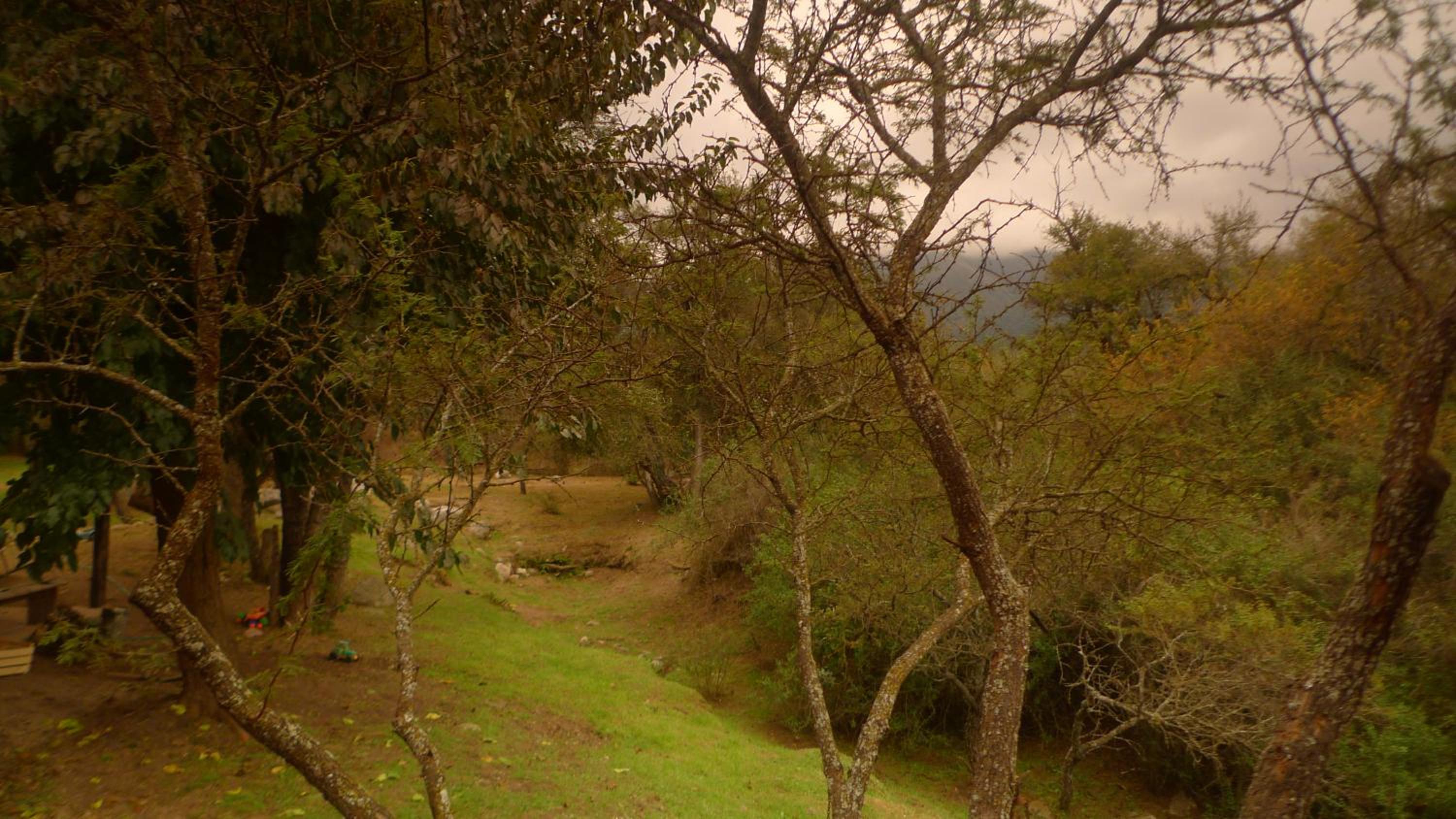 Samsara Traslasierra