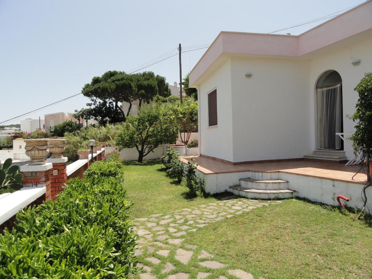 Photo 27