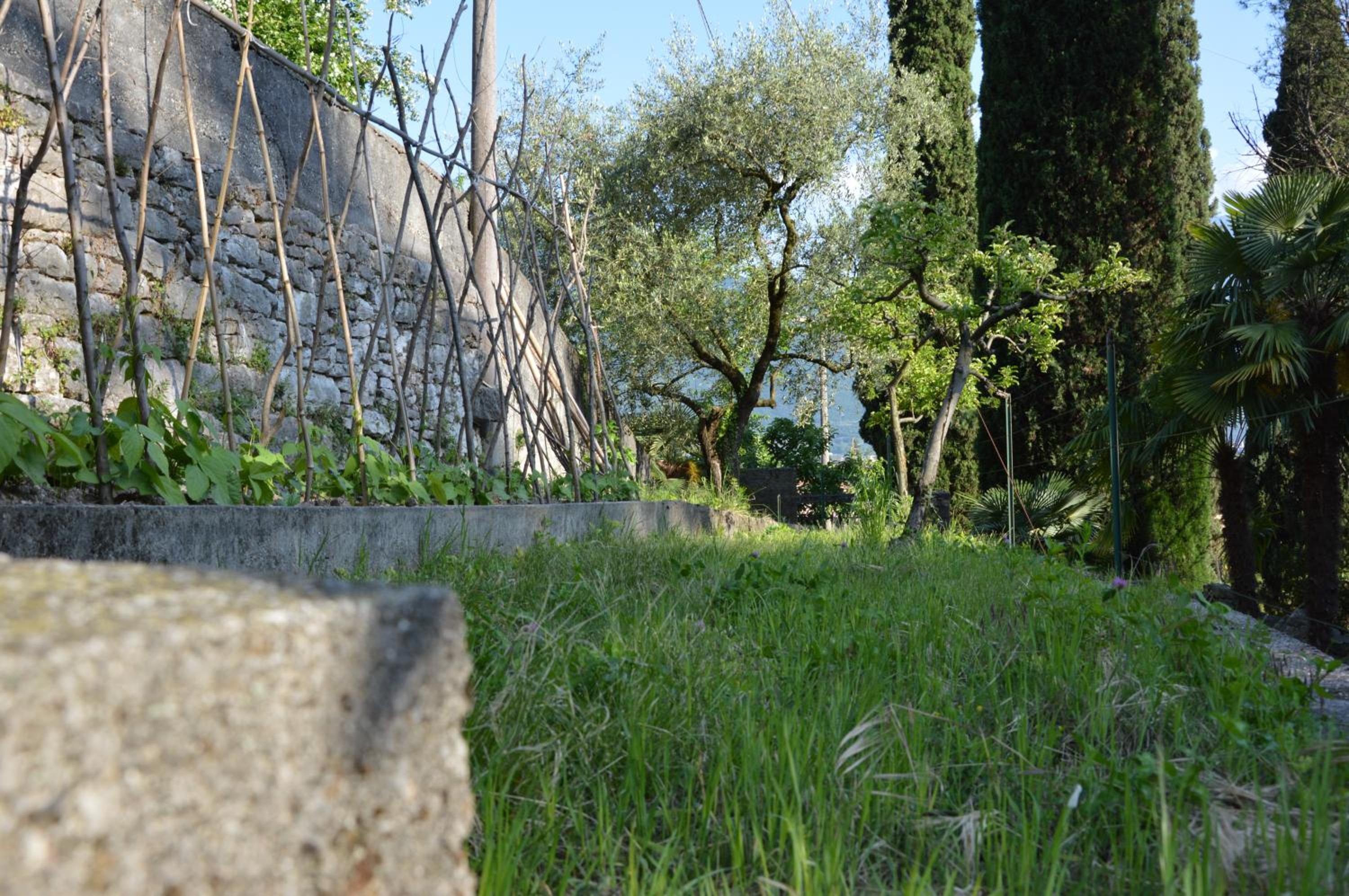 1Dest - Arco Climbing