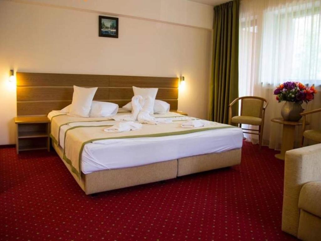 Hotel Carpați, photo 33
