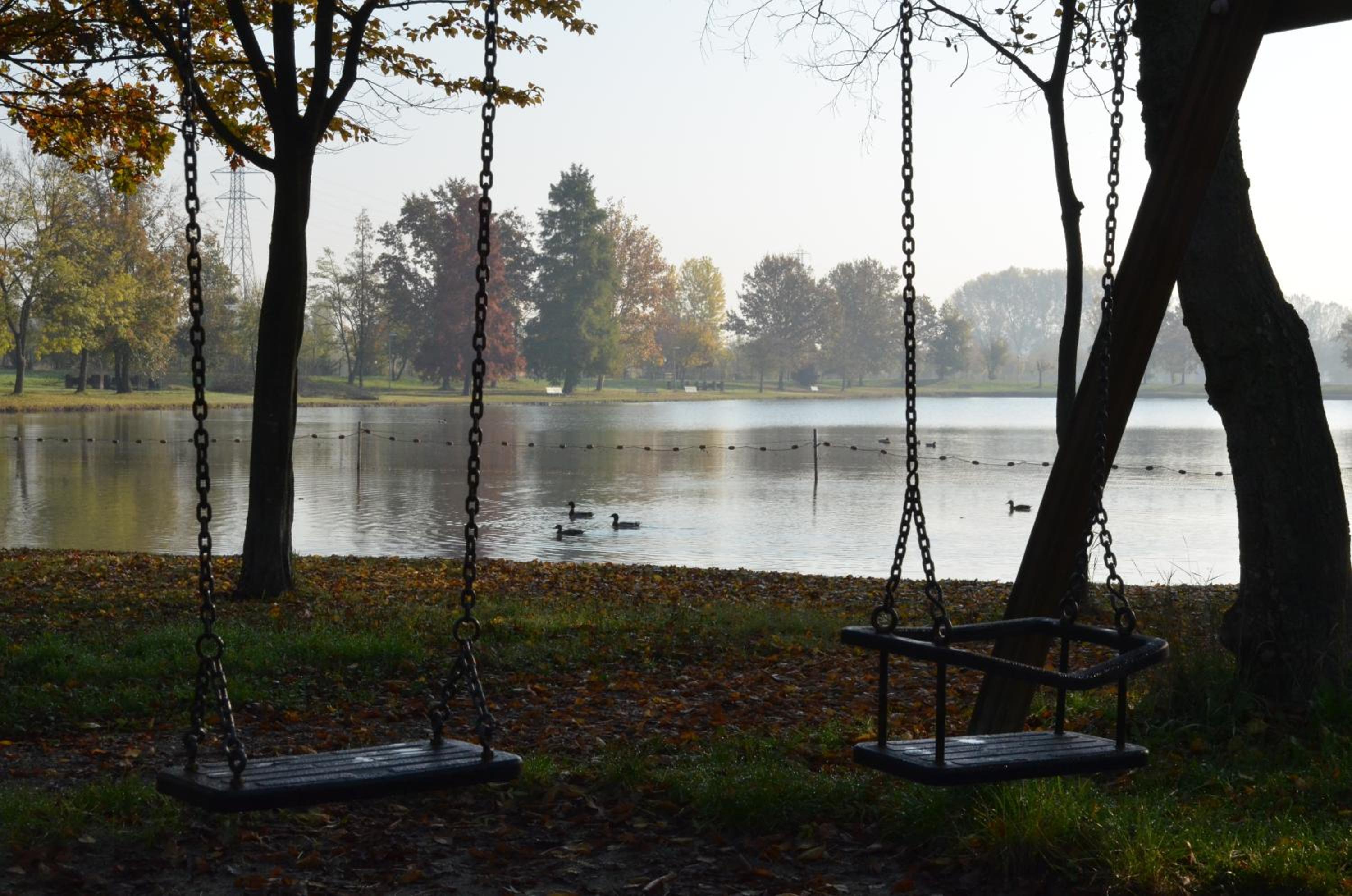 Photo 41