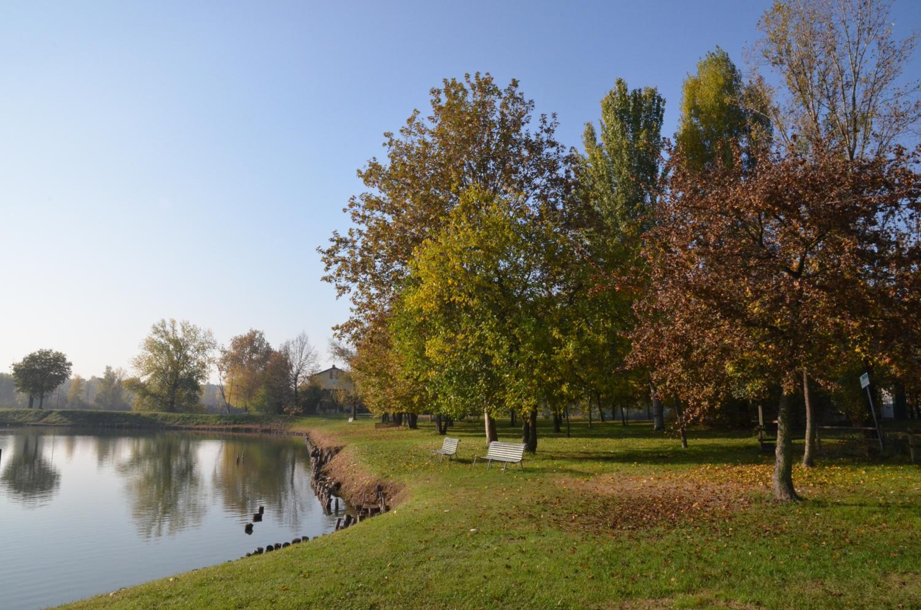 Photo 47