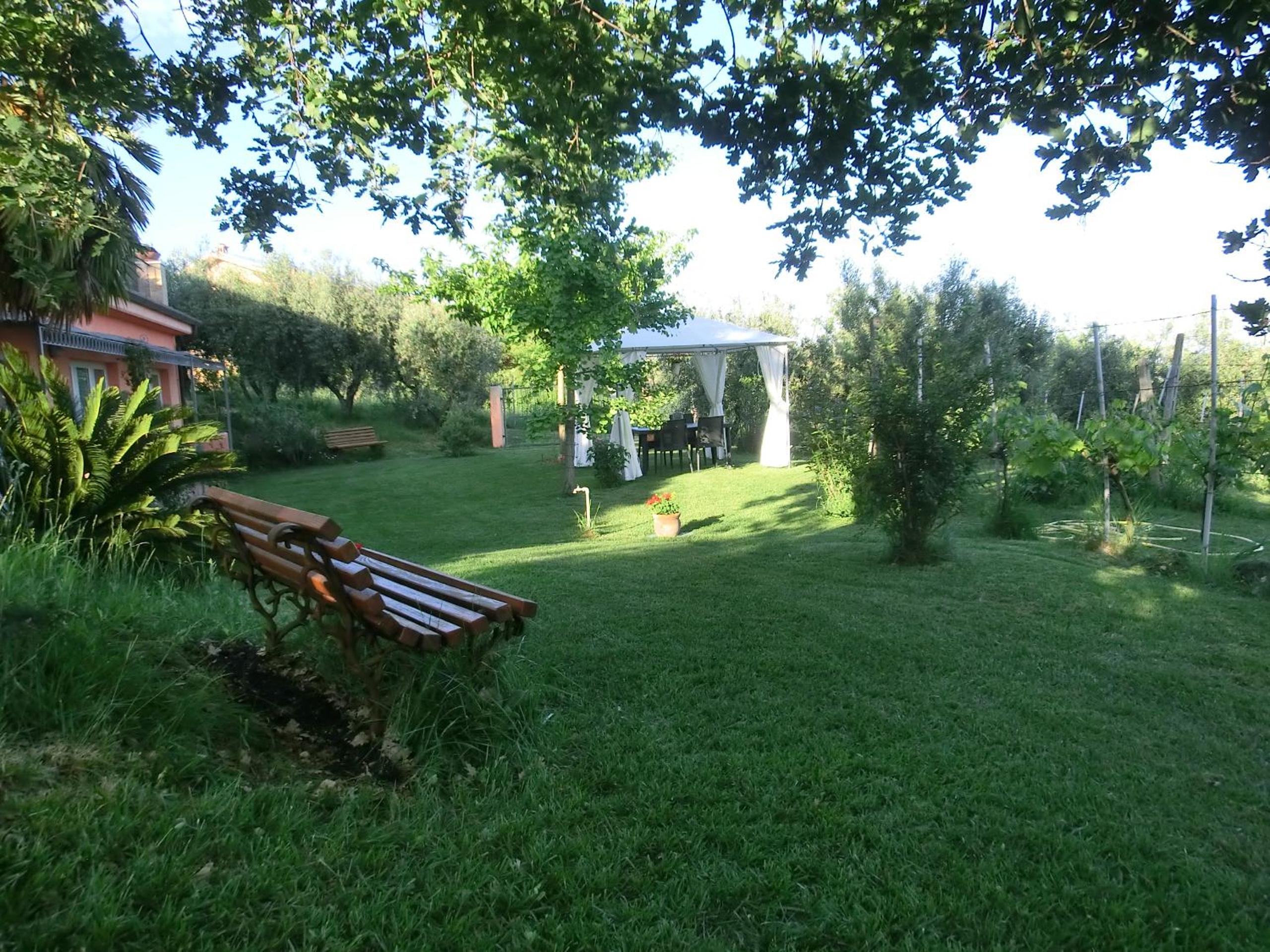 Photo 10