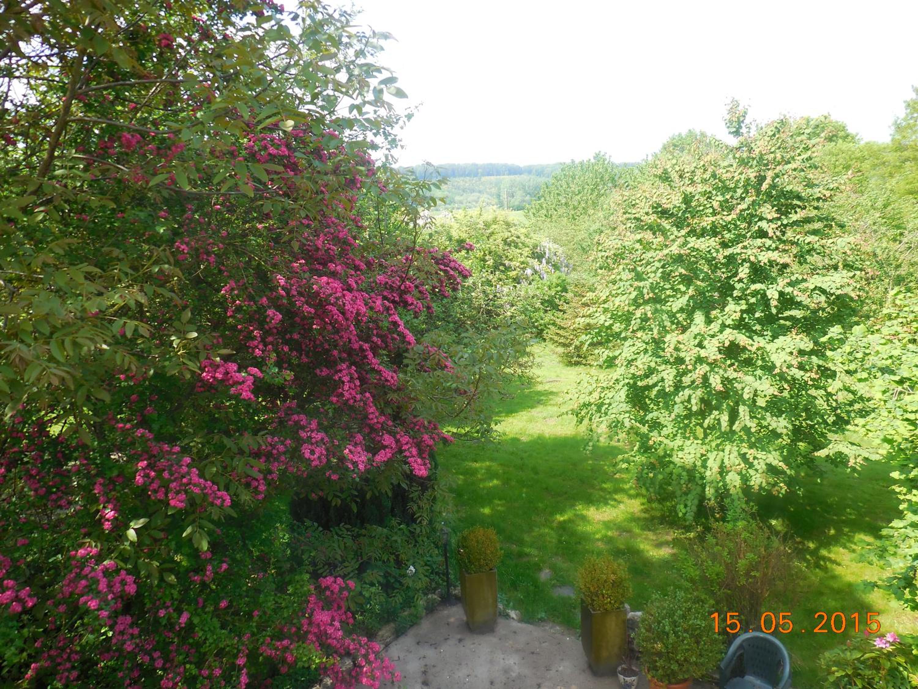 Photo 29
